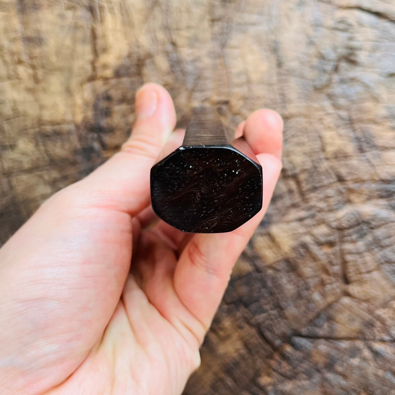 I- RARE Curly Black Rosewood Wa handle with marble horn and nickel ring - 140mm