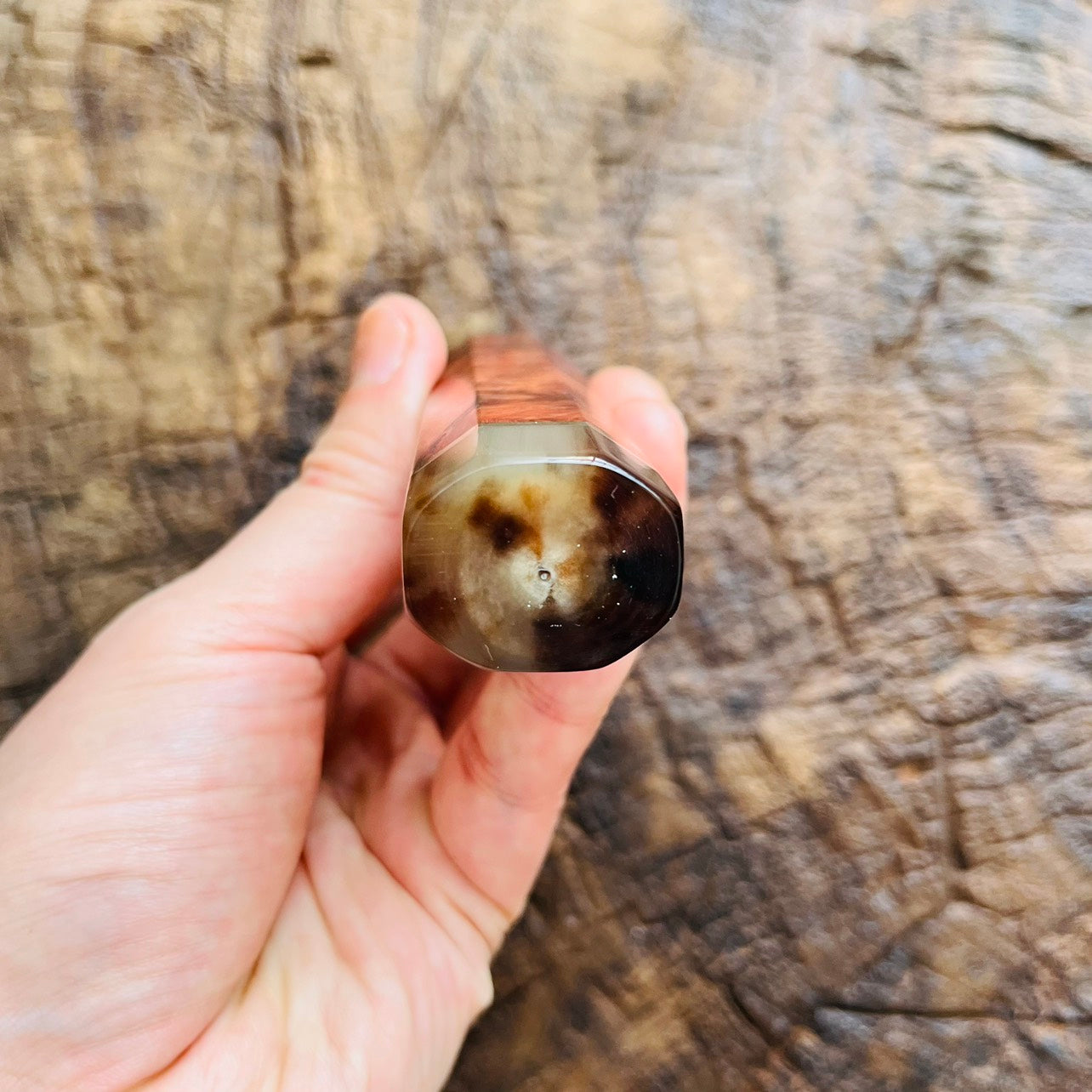 I- Burl Amboyna Wa handle with marble horn and nickel ring - 140mm