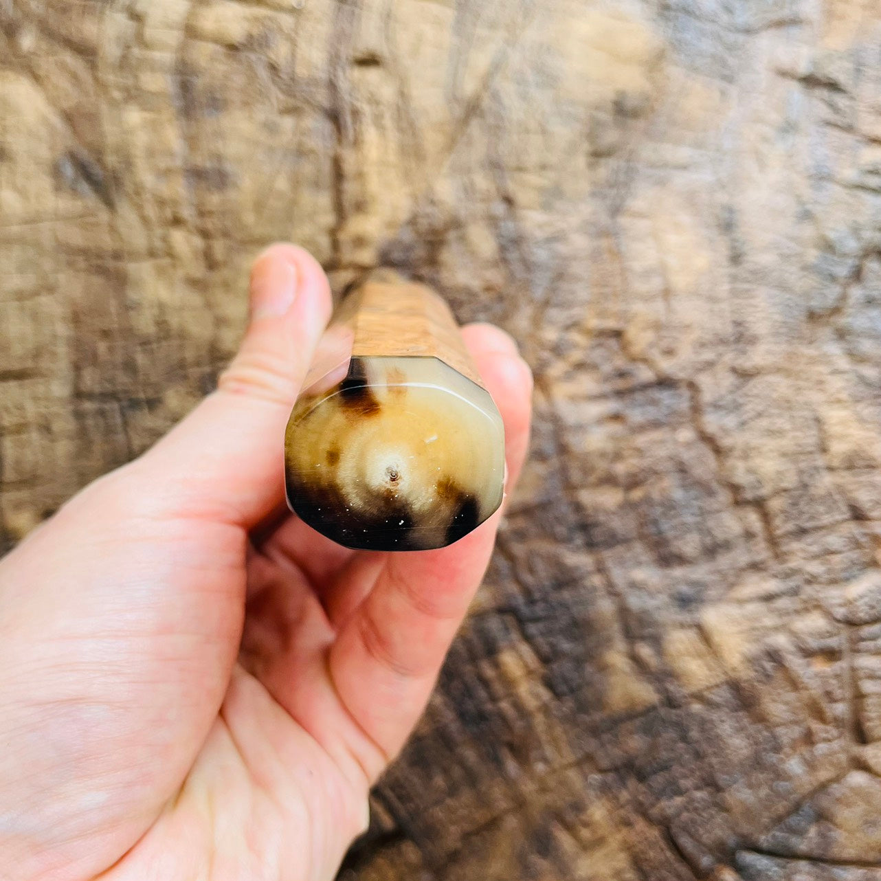 I- Burl Viet Ironwood Wa handle with marble horn and nickel ring - 140mm