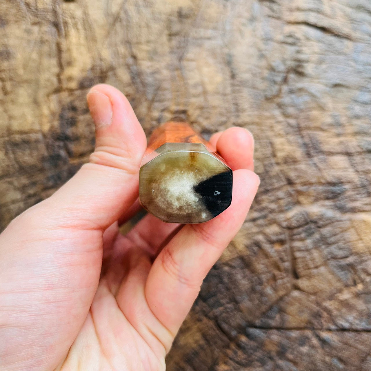 I- 4 Rare Orange Curly Siamese Rosewood Wa handle with marble horn ferrule, end cap and nickel ring - 140mm