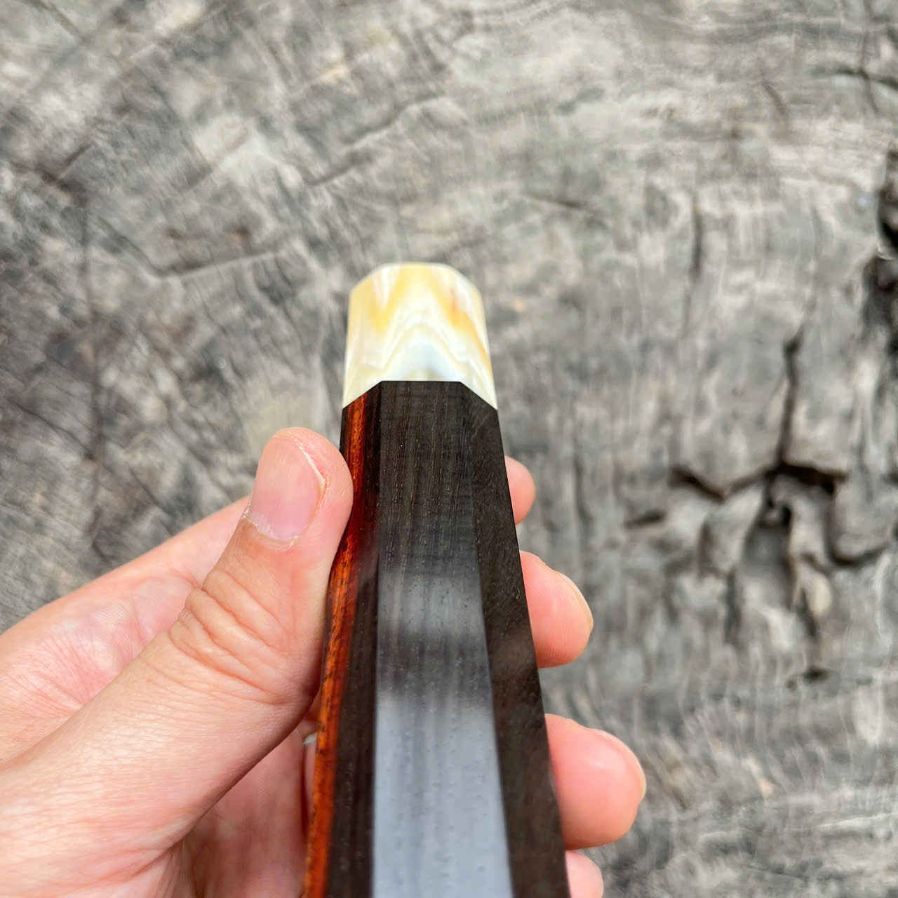 I - Rare Curly Black Siam Rosewood Wa handle, Marble Cream Horn Ferrule, - 145mm