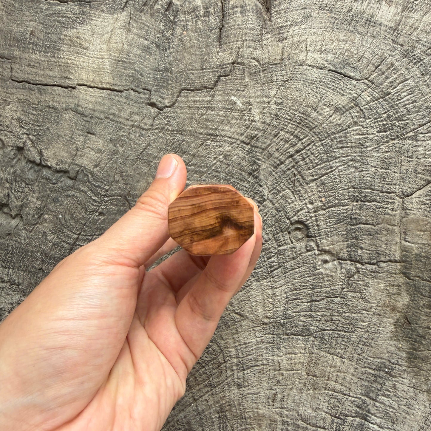 I - 5 Tamamoku Cedar Wa handle, Marble Horn ferrule 145 mm