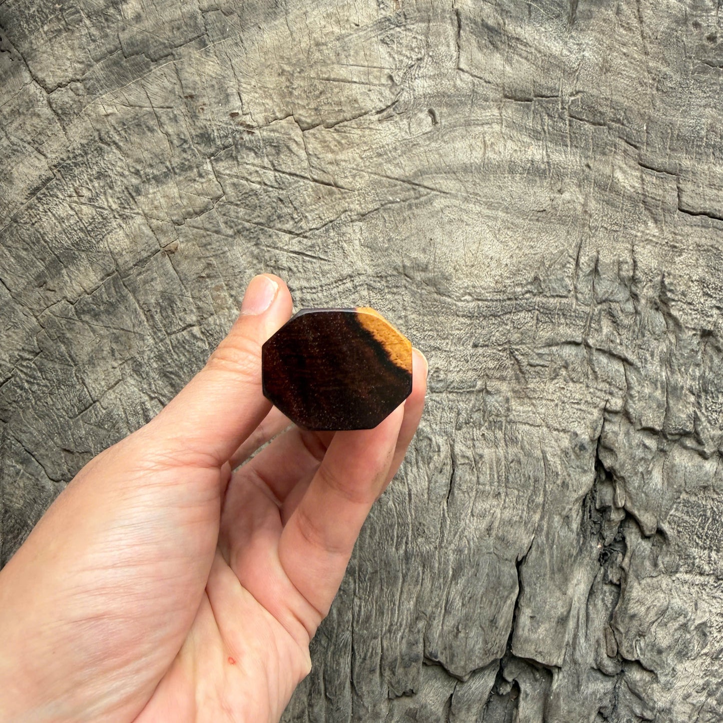 I - 2 Two Tone Curly Siamese Rosewood Wa handle,Mono - 145 mm