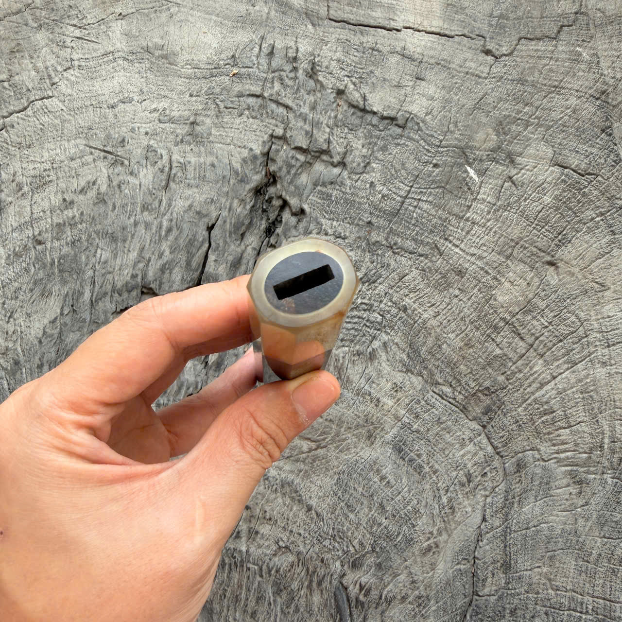 I - Live edge Black curly Siamese Rosewood Wa handle, White horn Ferrule, 140mm handle