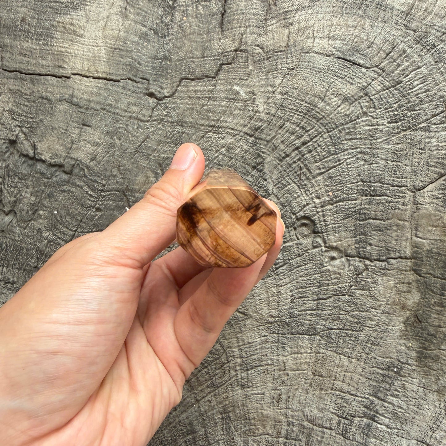 I - 6 Tamamoku Cedar Wa handle, Marble Horn ferrule - 145 mm