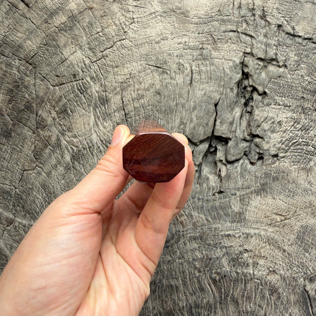 I - 2 Burl Rosewood Wa handle, Nickel Spacer - 145 mm