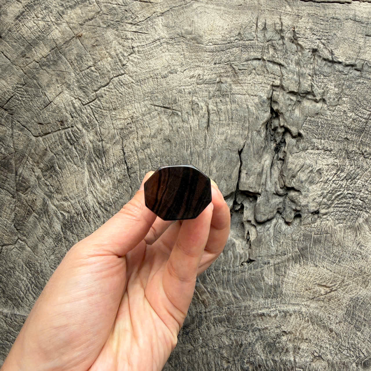 I - 10 Macassar ebony Wa handle, Cream Horn Ferrule- 145 mm