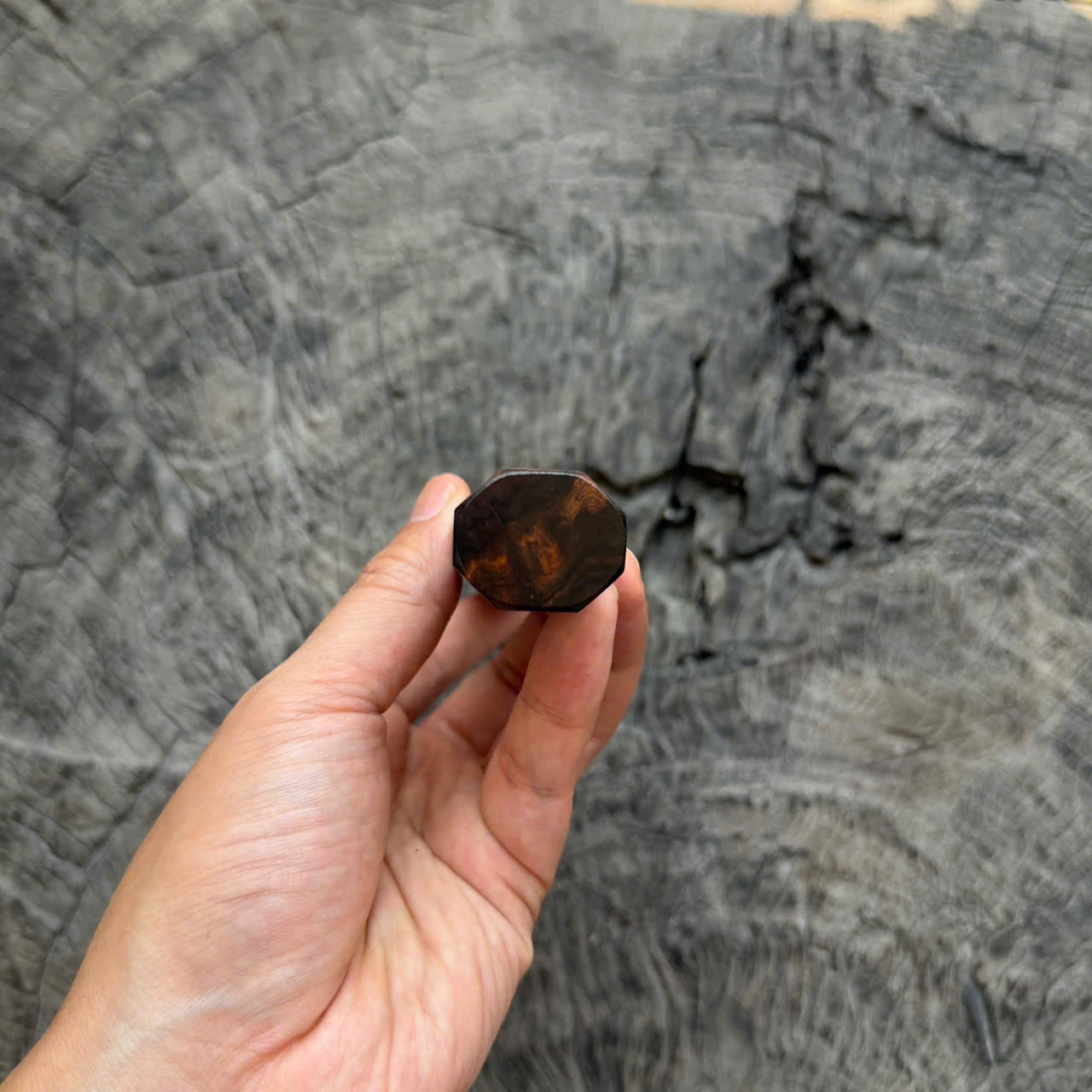 I - Super Dark Burl Desert ironwood Wa handle, Ivory horn ferrule, 145 mm handle
