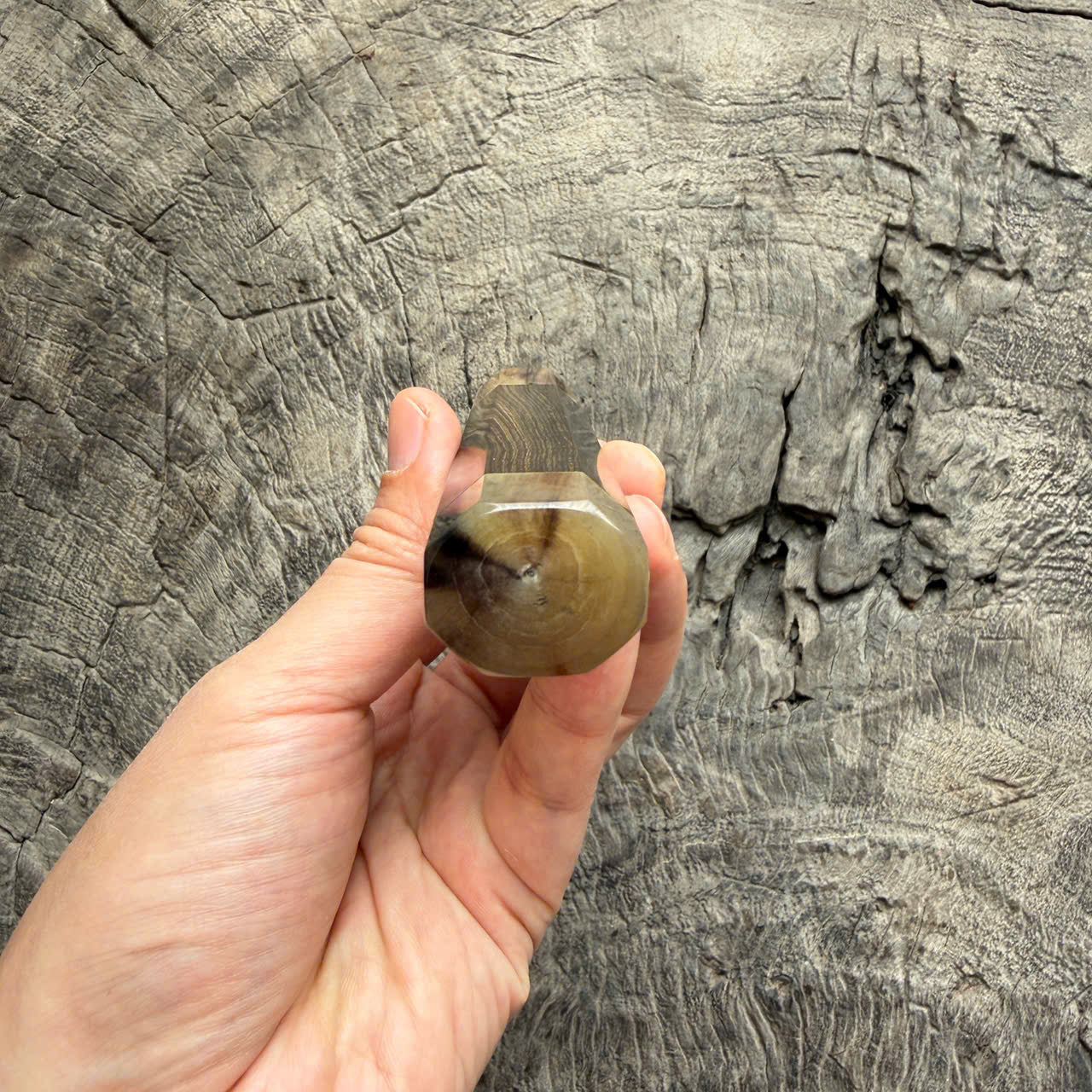 I - 10 Nice Ebony Wa handle, Marble horn ferrule - end cap- 145 mm