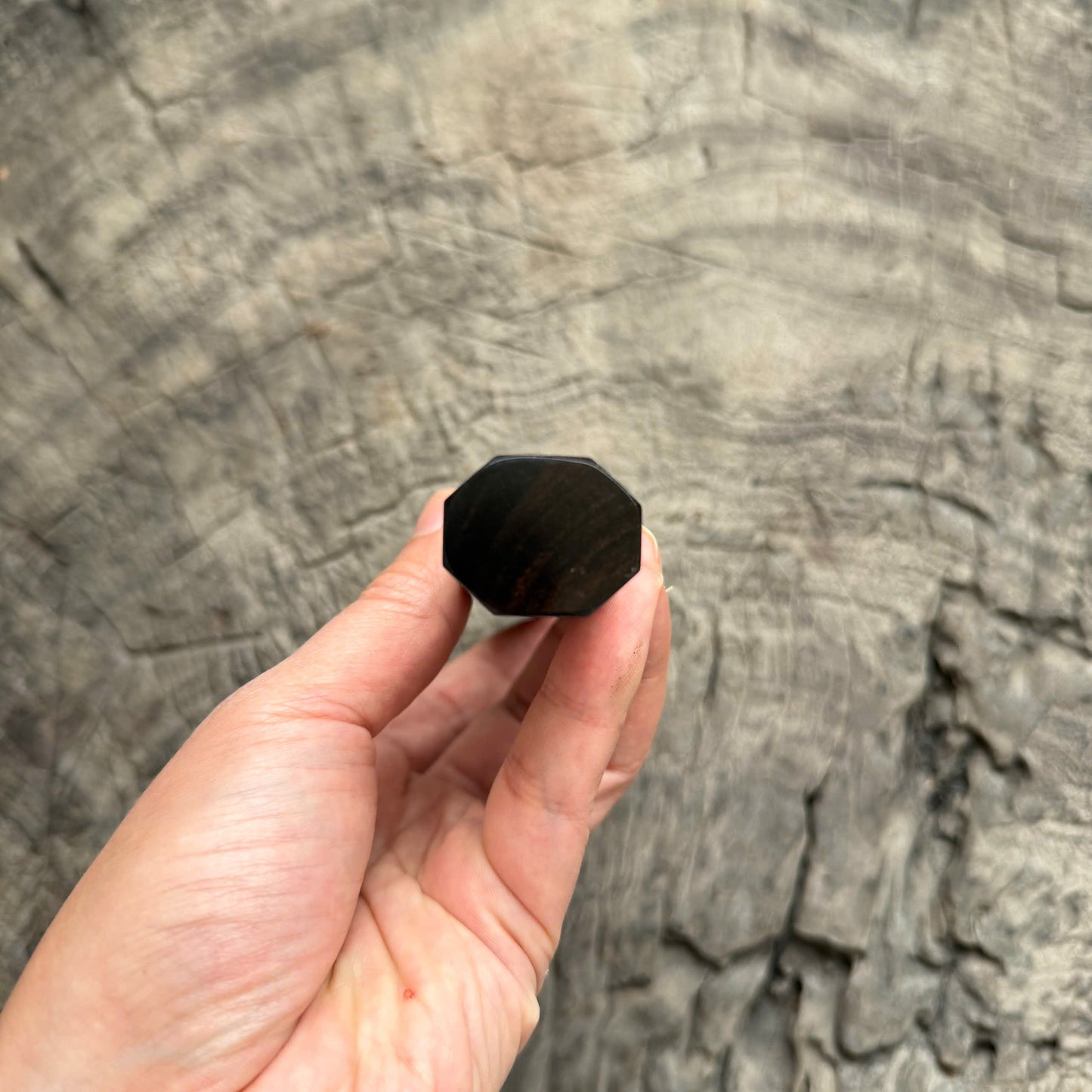 I - 24 Curly Siamese Rosewwood Wa handle , Mono - 140mm