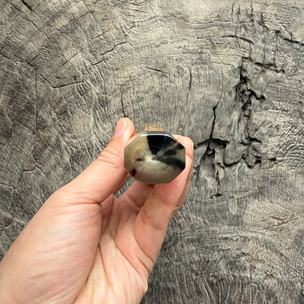 I - 10 Black White Ebony Wa handle, Marbel horn ferrule endcap - 145 mm