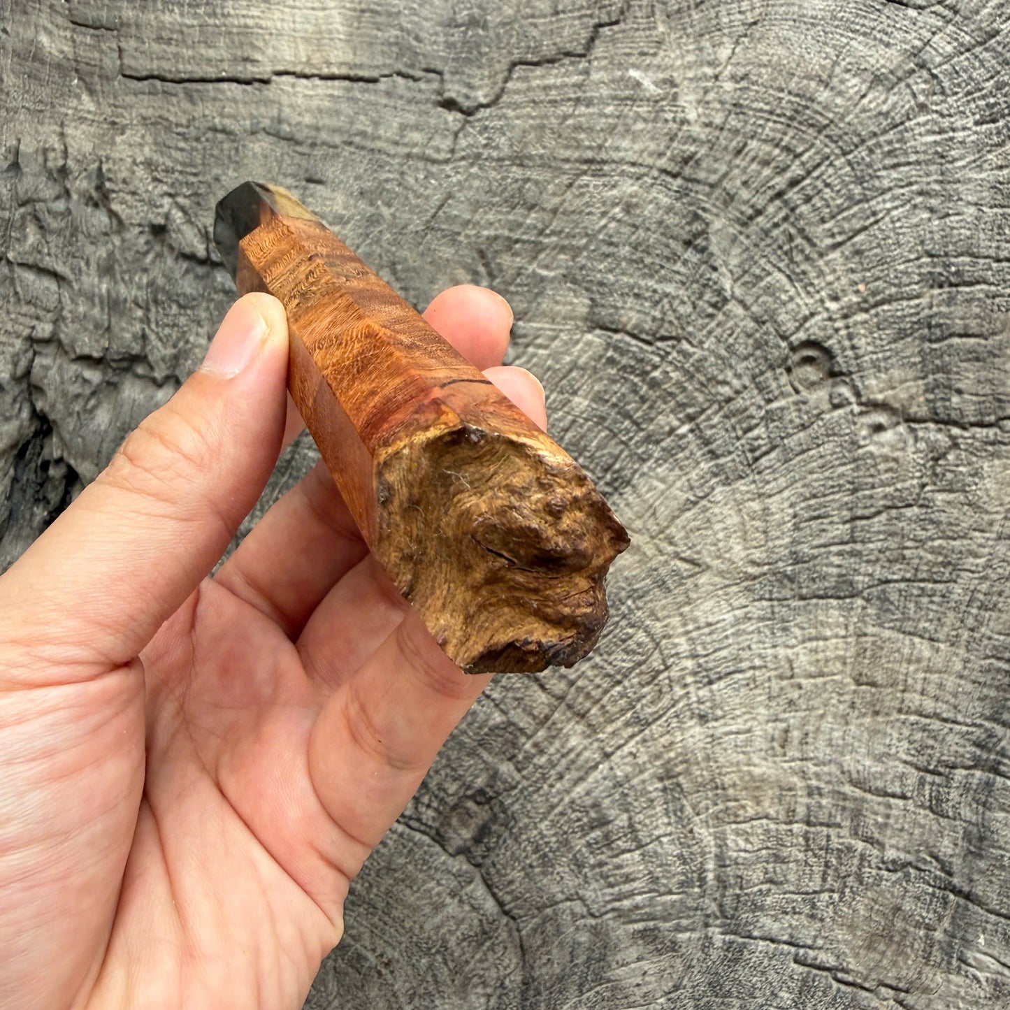 I - Live Edge Laos Ironwood Burl Wa handle, Marble Horn ferrule - 145 mm