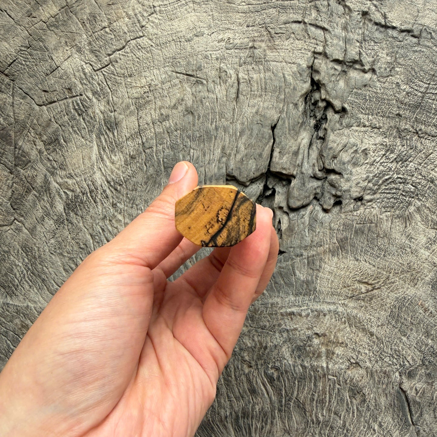 I -Two tone ebony Wa handle, Tamamoku cedar ferrule, Slim Shape - 140 mm