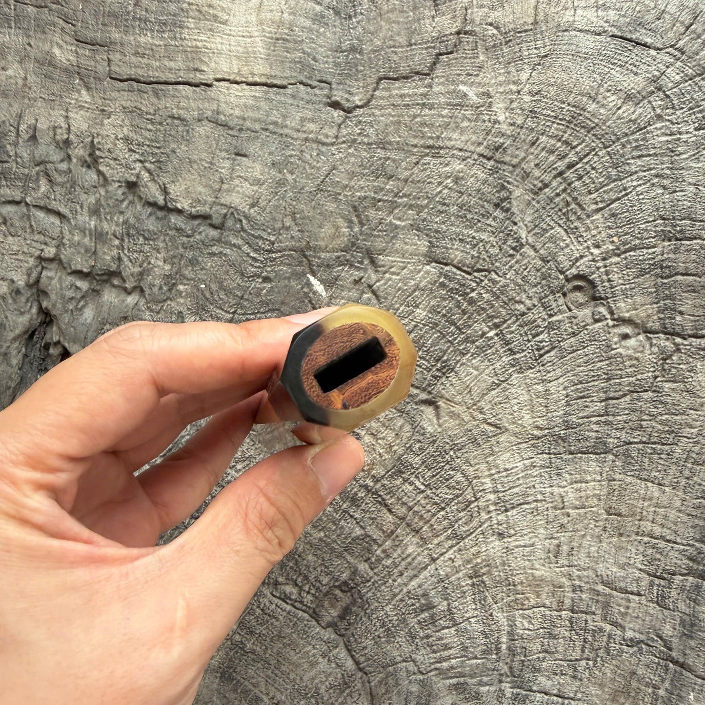 I - Live Edge Laos Ironwood Burl Wa handle, Marble Horn ferrule - 145 mm
