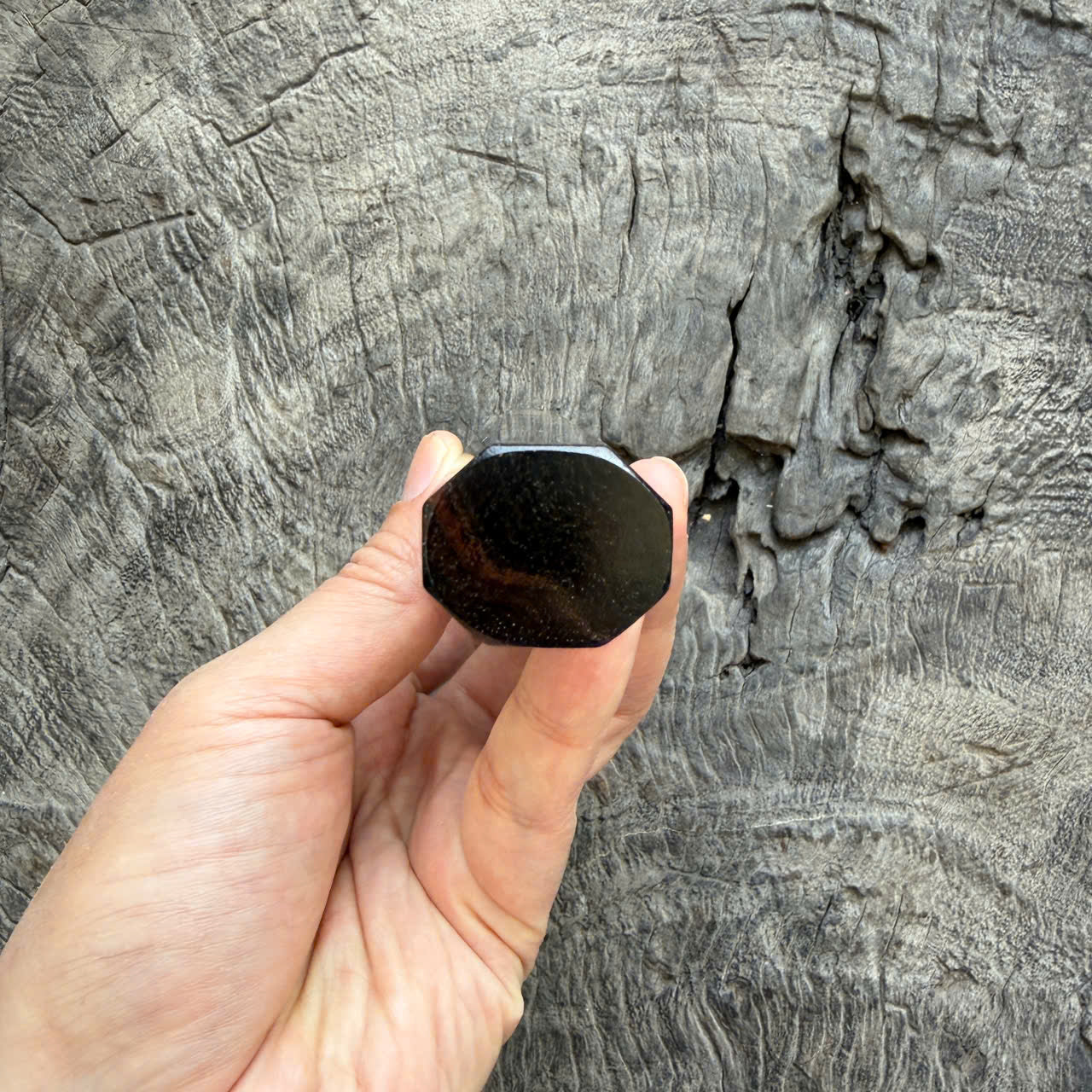 I - Amazing Black Siamese Rosewood Wa handle, Ivory Horn Ferrule - 145 mm