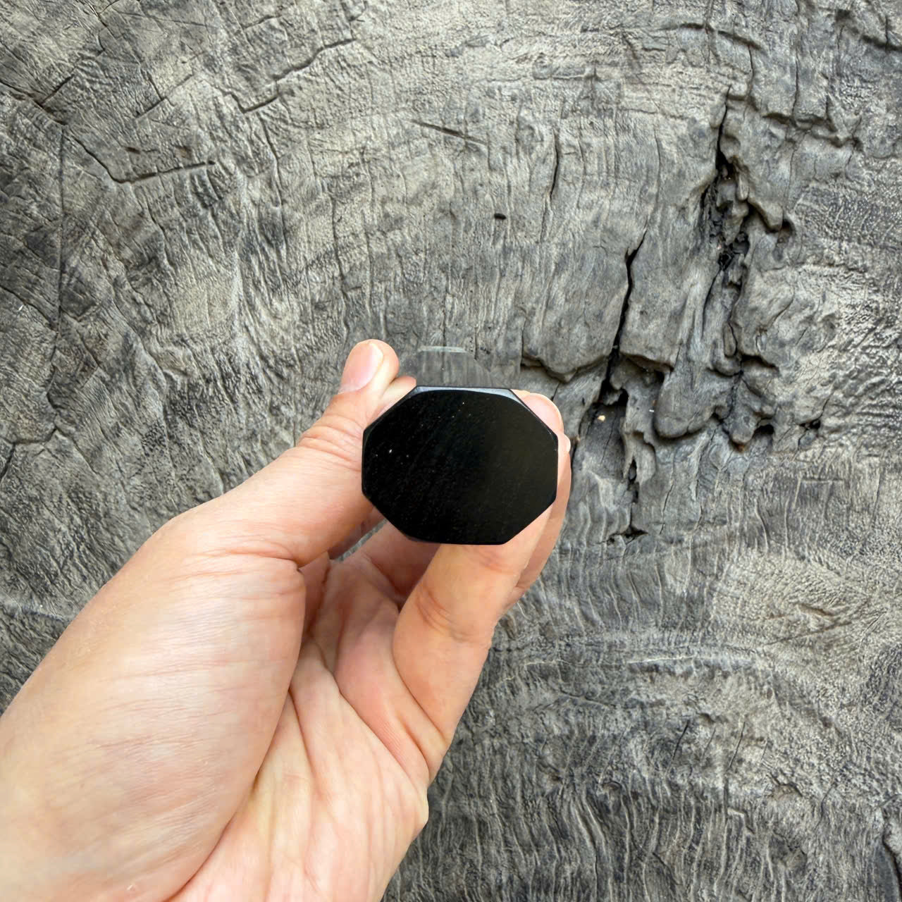 I -21 Ebony Wa handle, Super White Cream Horn Ferrule - 140mm