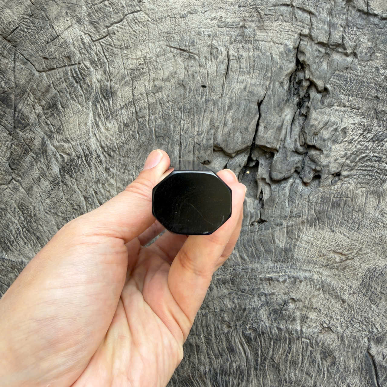 I -22 Ebony Wa handle, Marble Horn Ferrule - 140mm