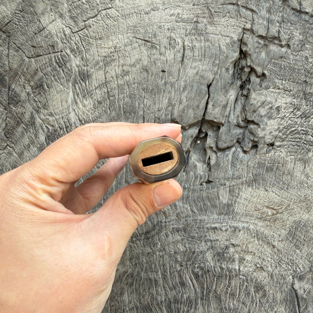 I- 7 Curly Crape myrtle Wa handle, Marble Horn Ferrule - 135mm