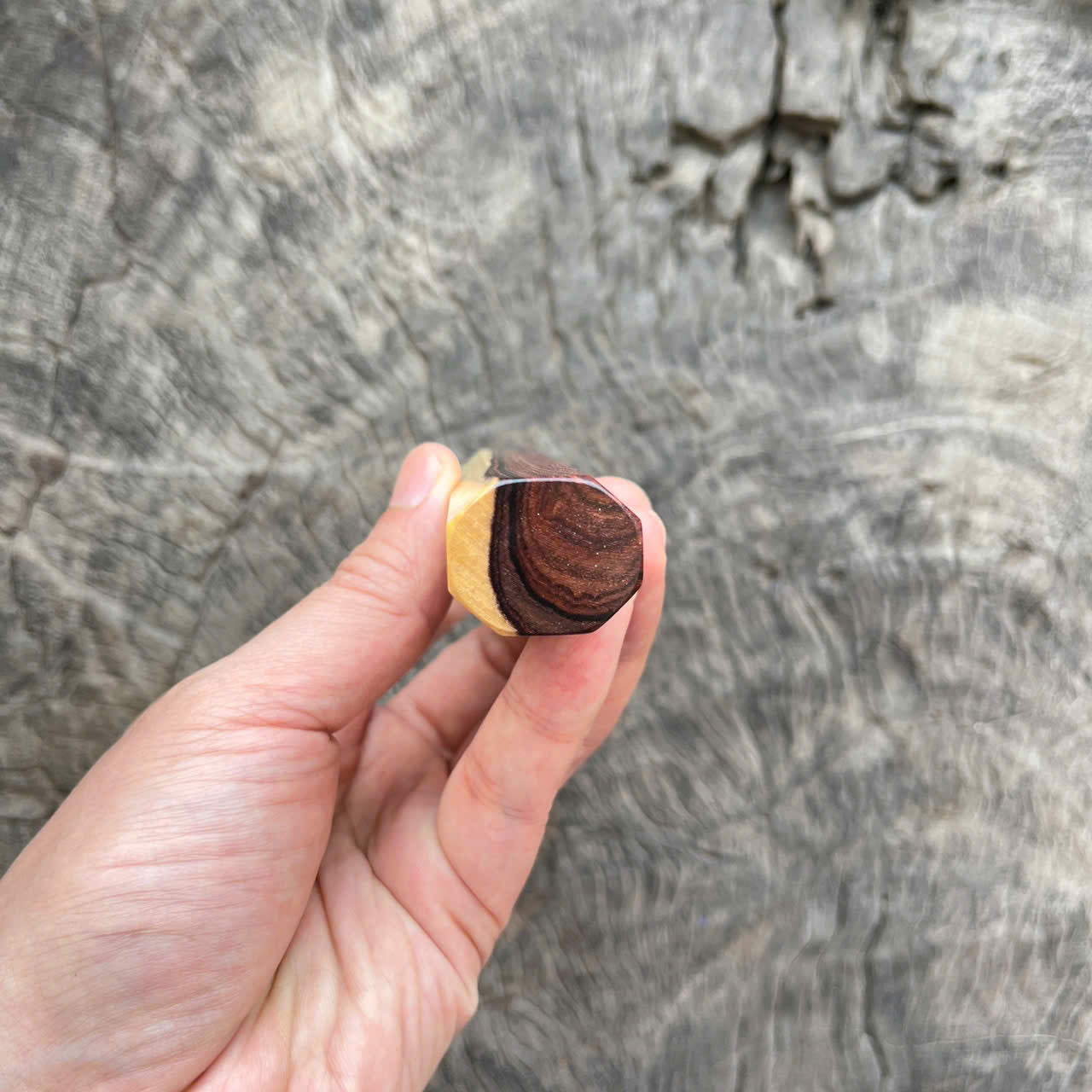 I- 4 Two tone Rosewood Wa handle, black horn ferrule - 135mm