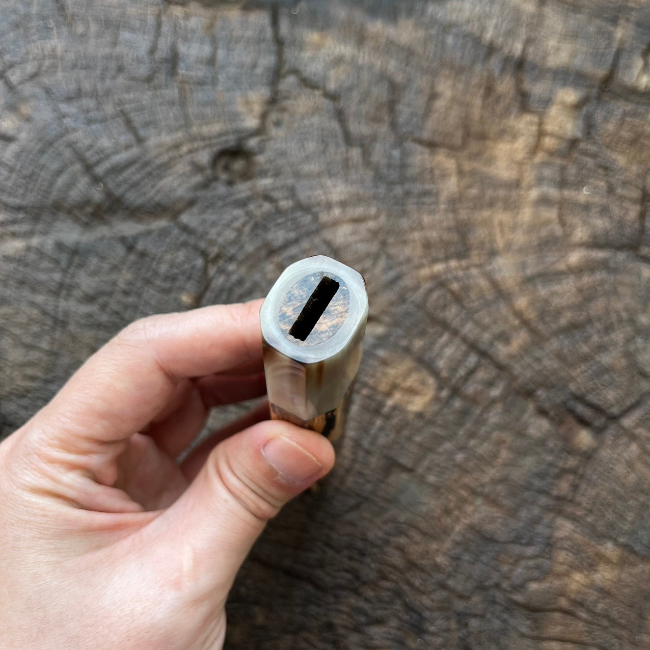 I- 5 Ebony Wa handle with marble horn ferrule - 135mm