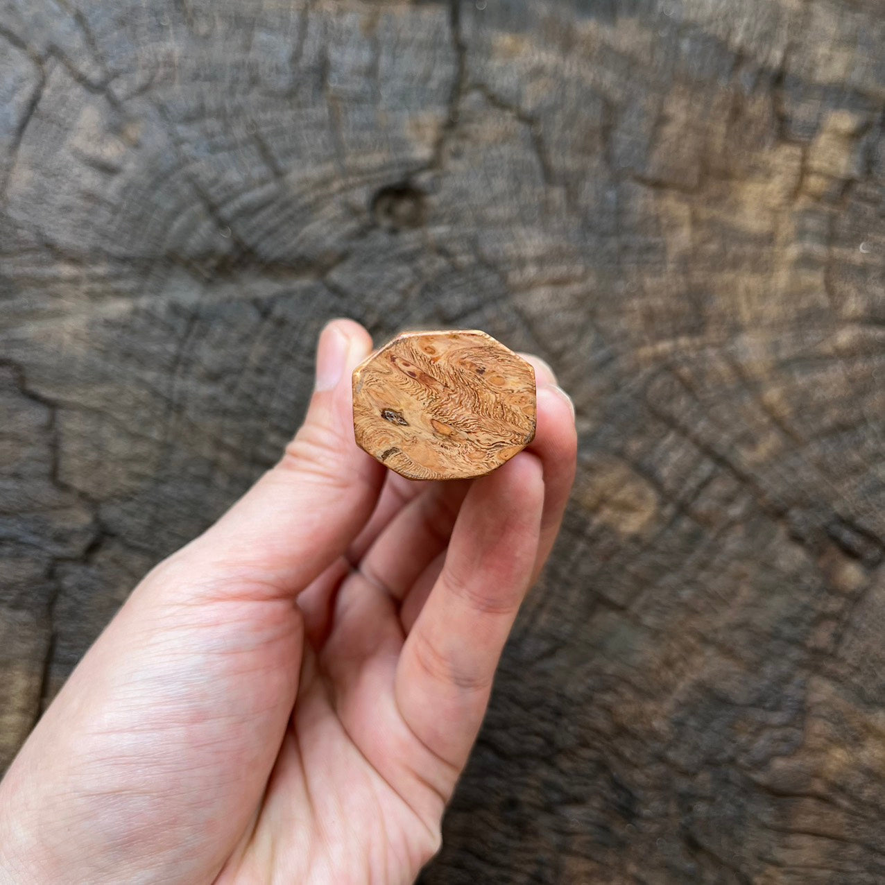 I- Burl Afzelia Wa handle with marble horn ferrule - 135mm