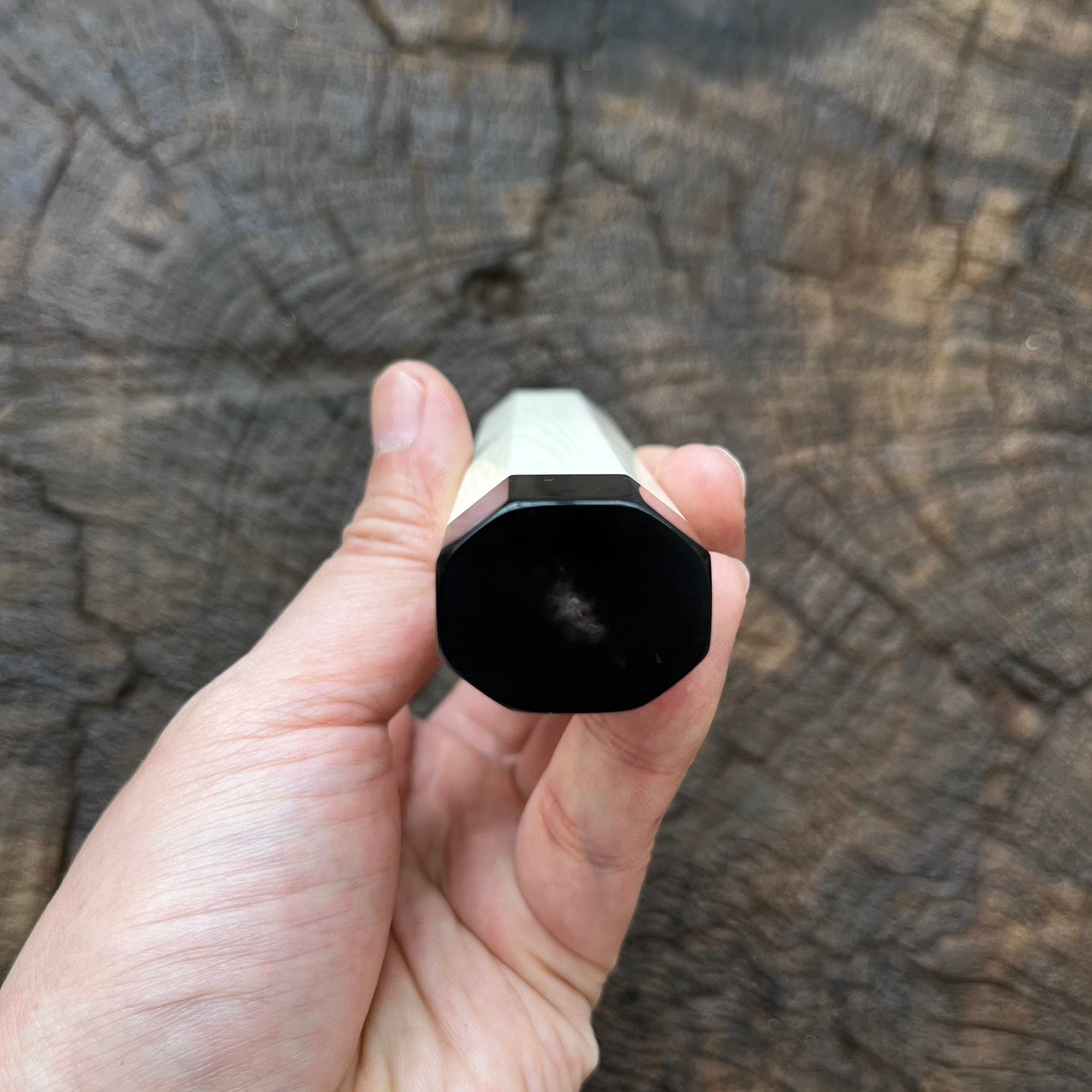 I- Ivory Wa handle with black horn ferrule and end cap - 155mm (Big handle)