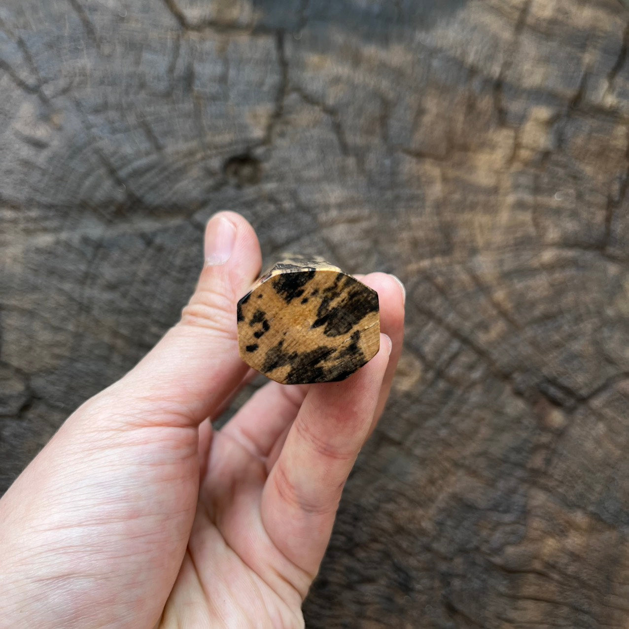 I- 5 Ebony Wa handle with marble horn ferrule - 135mm