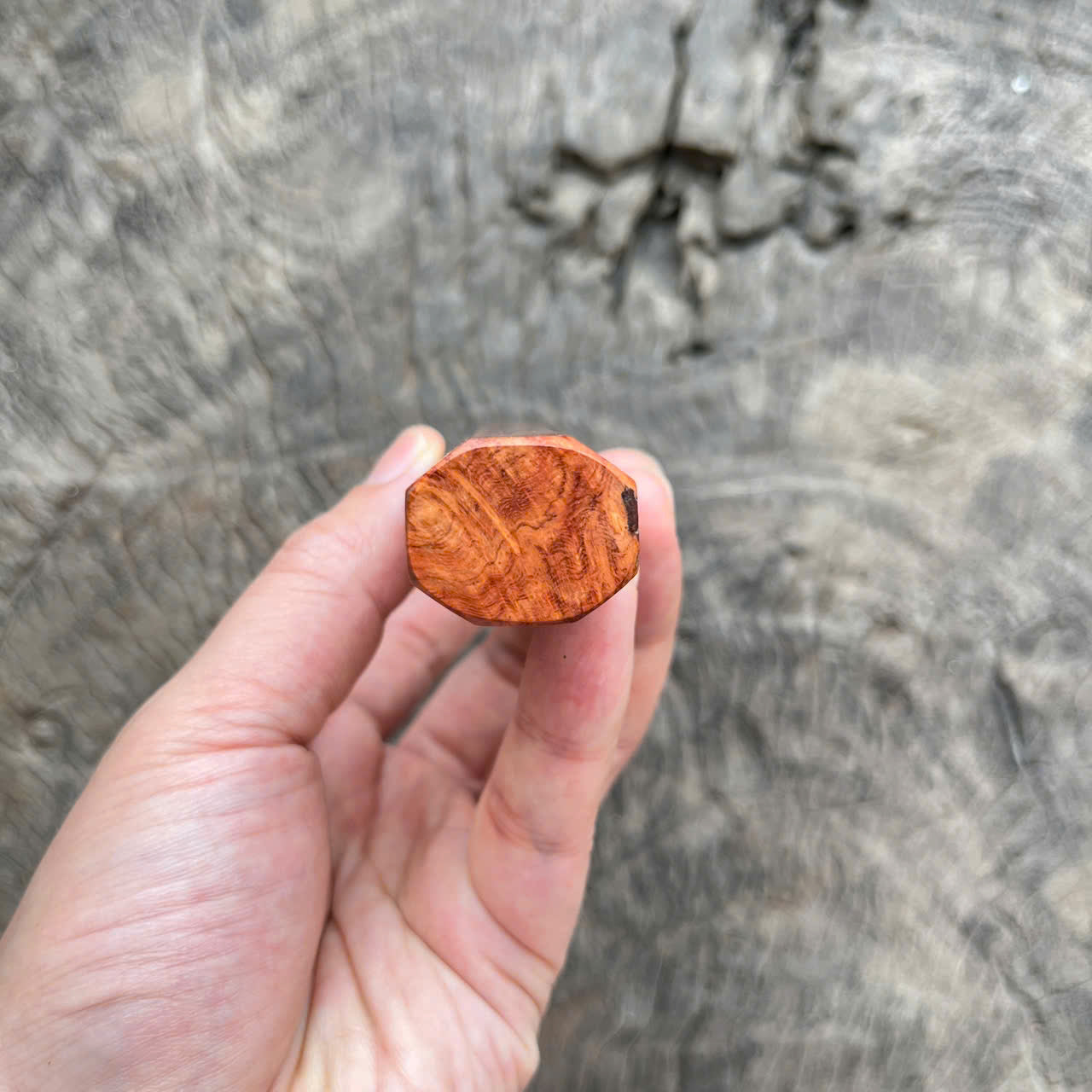 I- 9 Amboyna burl Wa handle, Mono, 135 mm