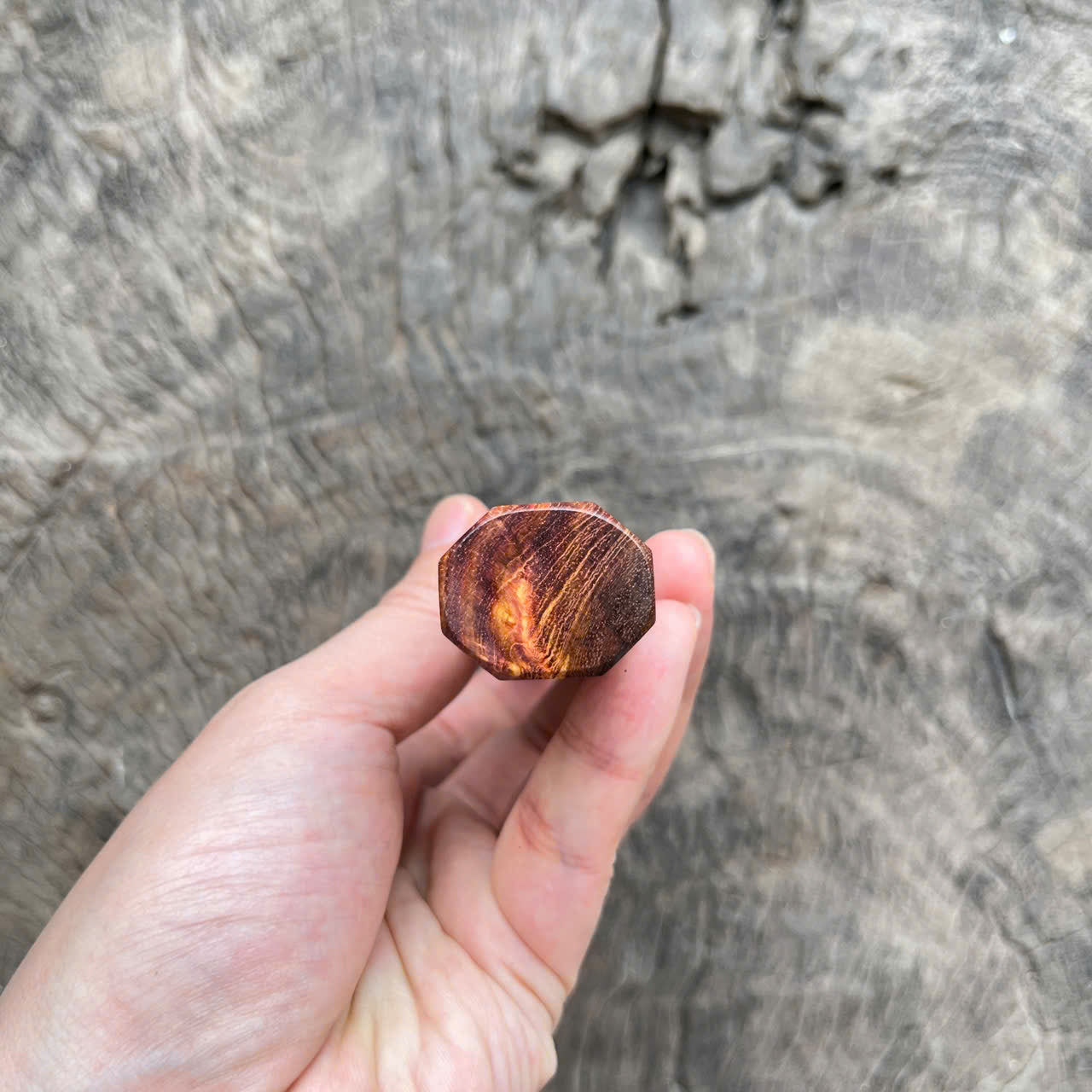 I - Speical Huanghuali wood Wa handle, White horn ferrule - 140mm