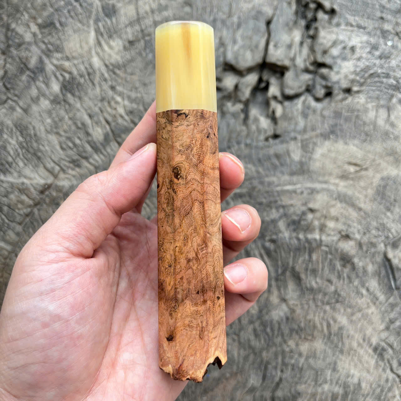 I - Live Edge Viet Ironwood burl Wa handle, White horn ferrule- 145mm