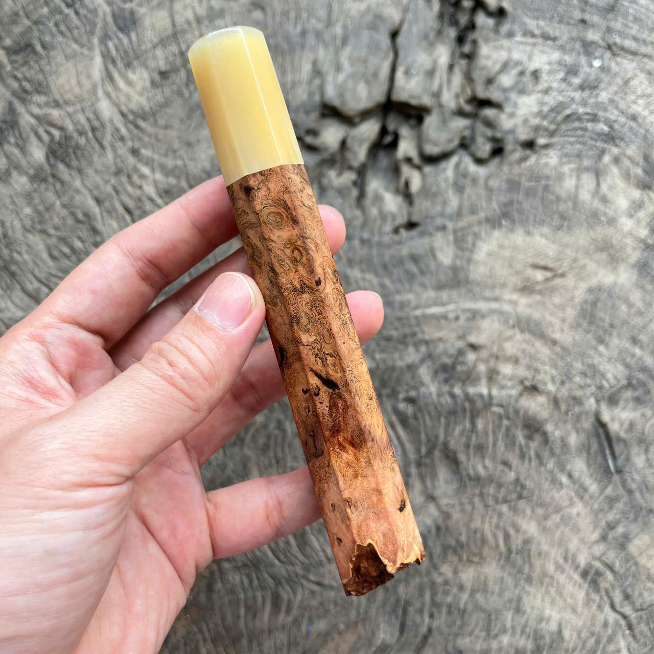 I - Live Edge Viet Ironwood burl Wa handle, White horn ferrule- 145mm