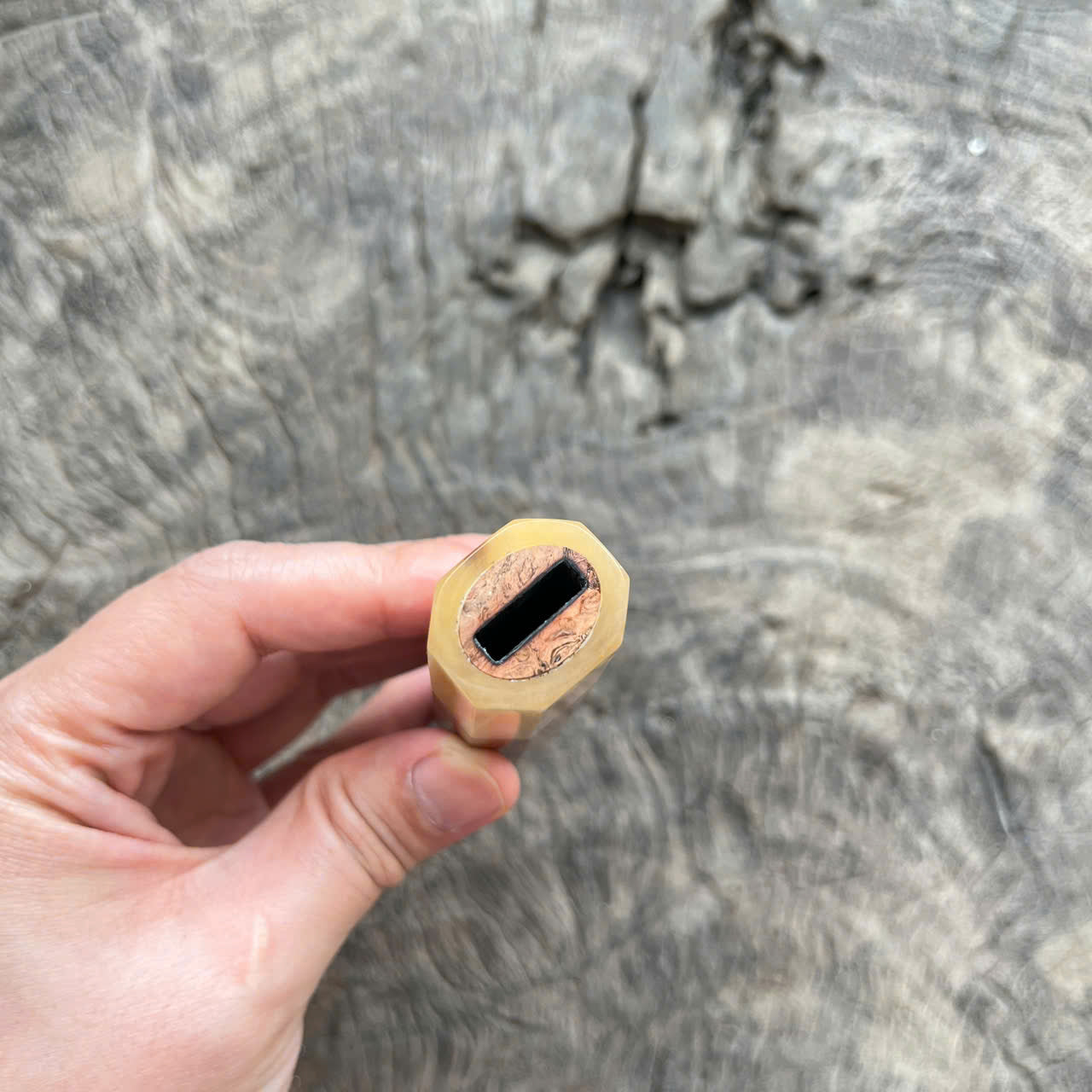 I - Live Edge Viet Ironwood burl Wa handle, White horn ferrule- 145mm