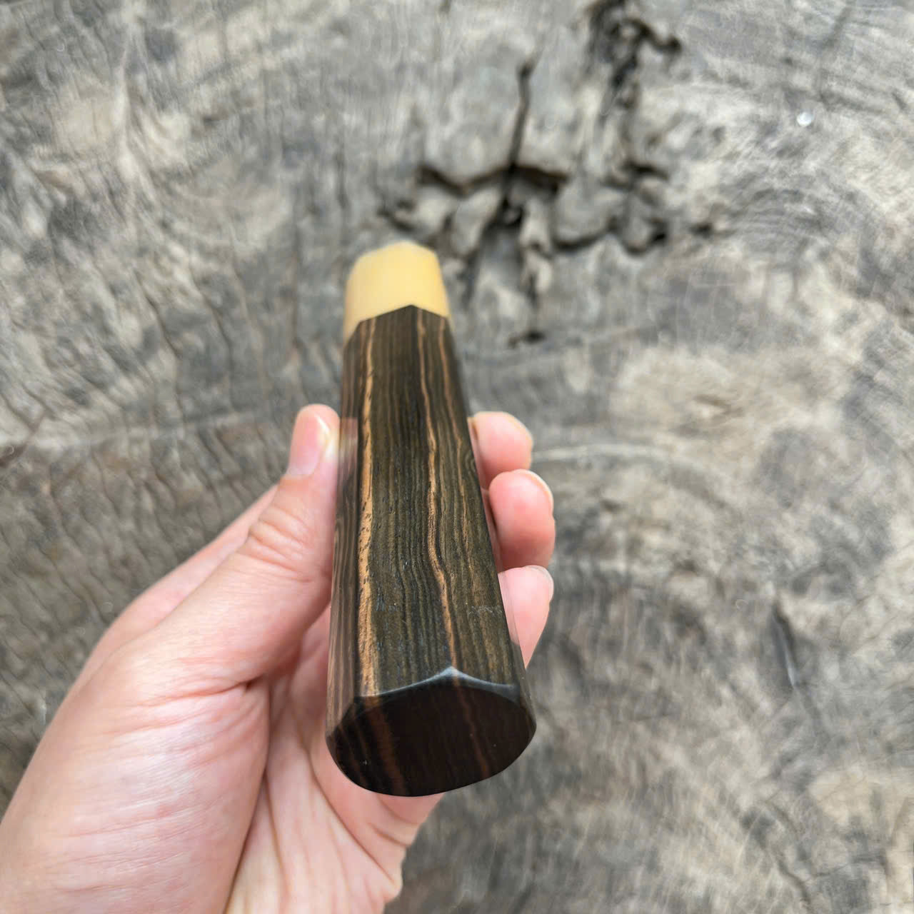 I - Macassar ebony with white stripe Wa handle, Marble horn ferrule - 145mm