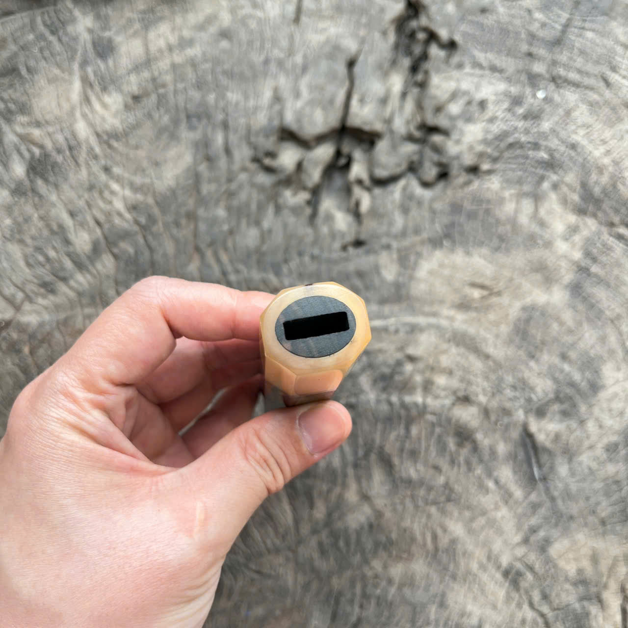 I - Macassar ebony with white stripe Wa handle, Marble horn ferrule - 145mm