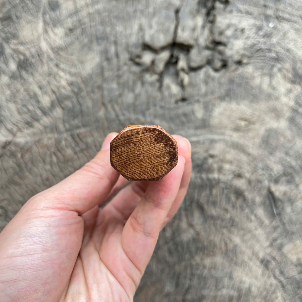 I - 3 Elegant Viet Cedar Burl Wa handle, Mono - 145