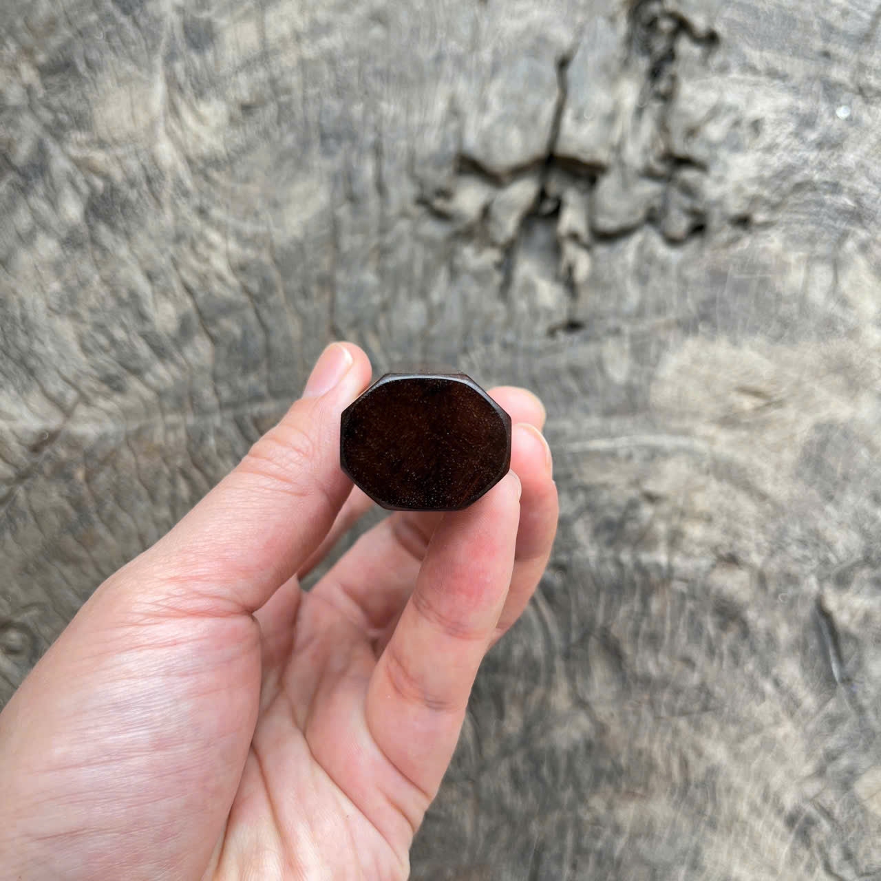 I- 7 Dark Curly Siam Rosewood, Marble horn Ferrule, 135 mm