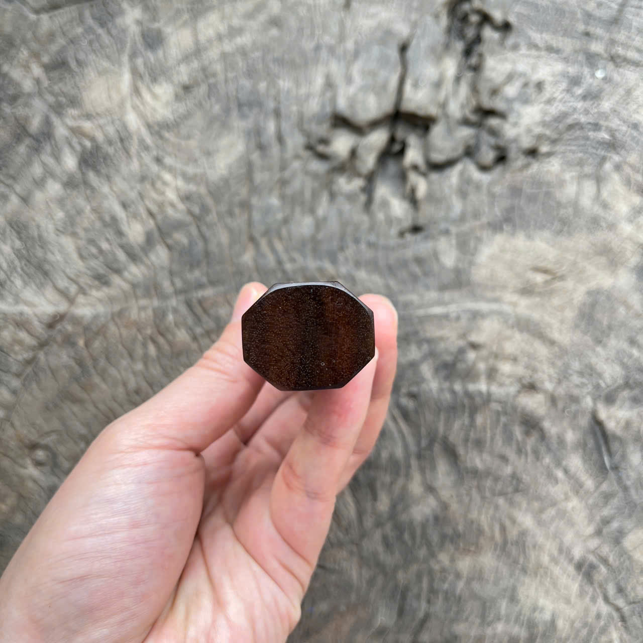 I -4 Dark Curly Siam Rosewood Wa handle, Marble horn ferrule- 145 mm