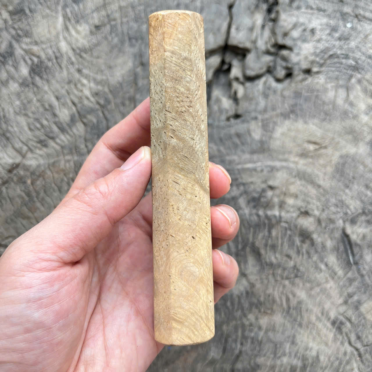 I- 5 Burl Crape Myrtle Wa handle, Mono, 135 mm
