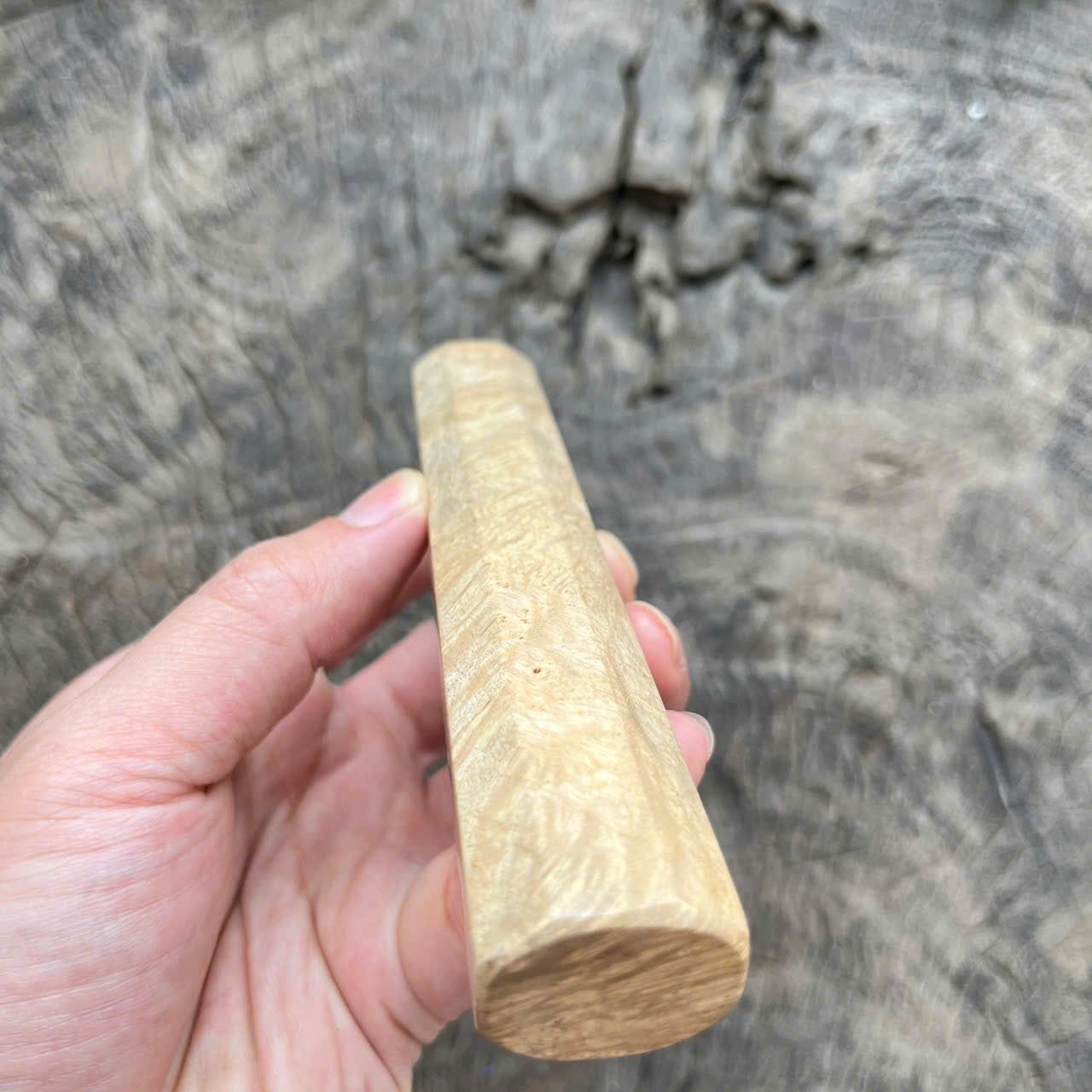 I- 5 Burl Crape Myrtle Wa handle, Mono, 135 mm