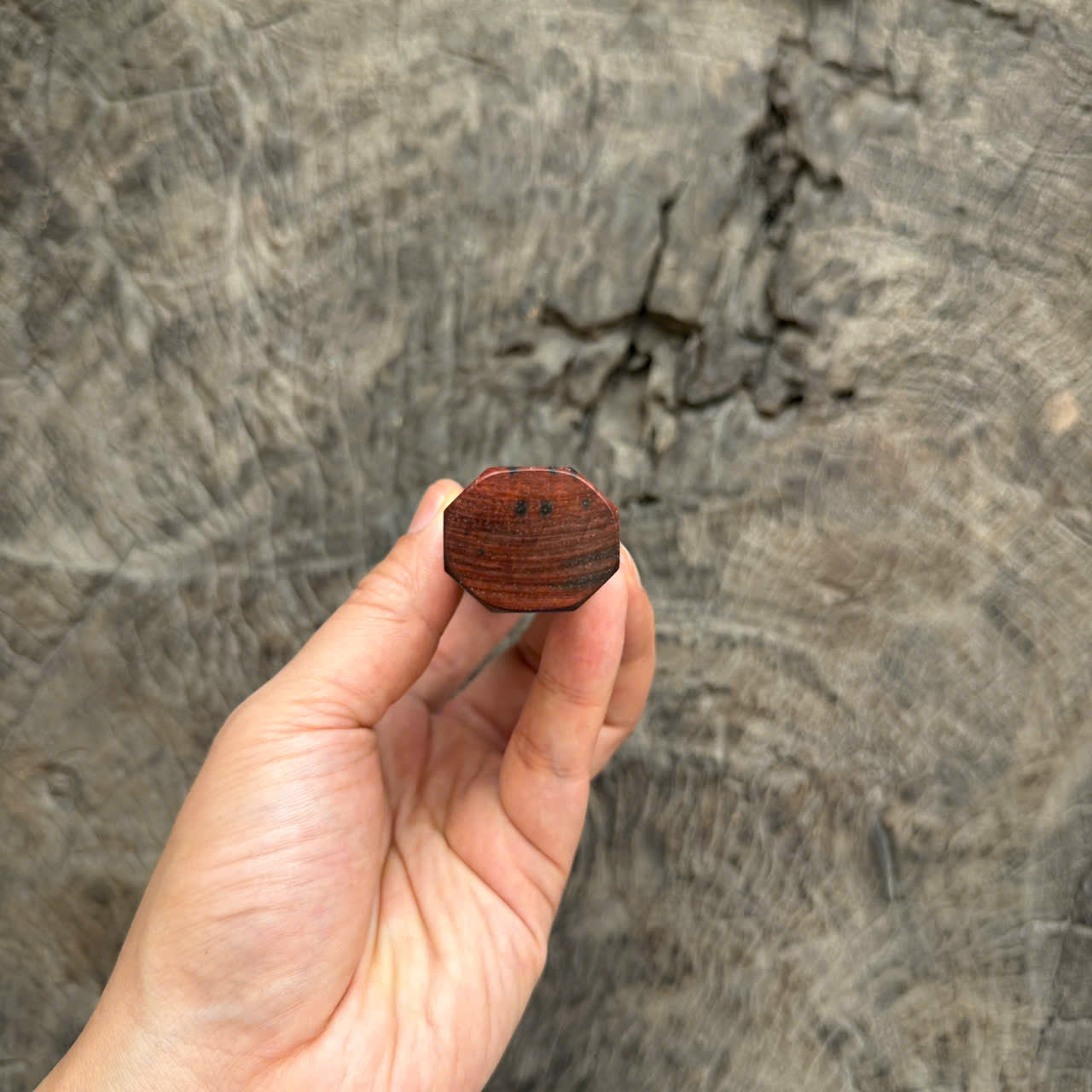 I - 3D Red Siamese Rosewood Wa handle, Black White horn Ferrule, 145 mm handle