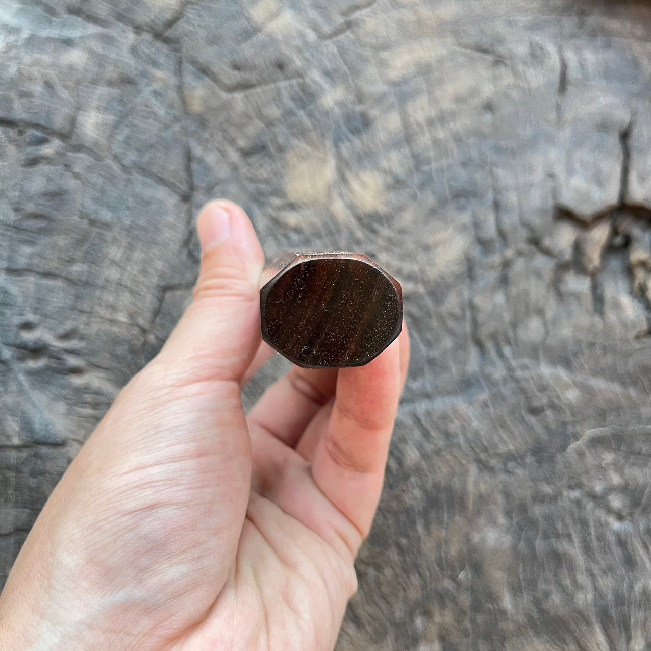 I - 5 Curly Siam Rosewood Wa handle with black horn - 145mm