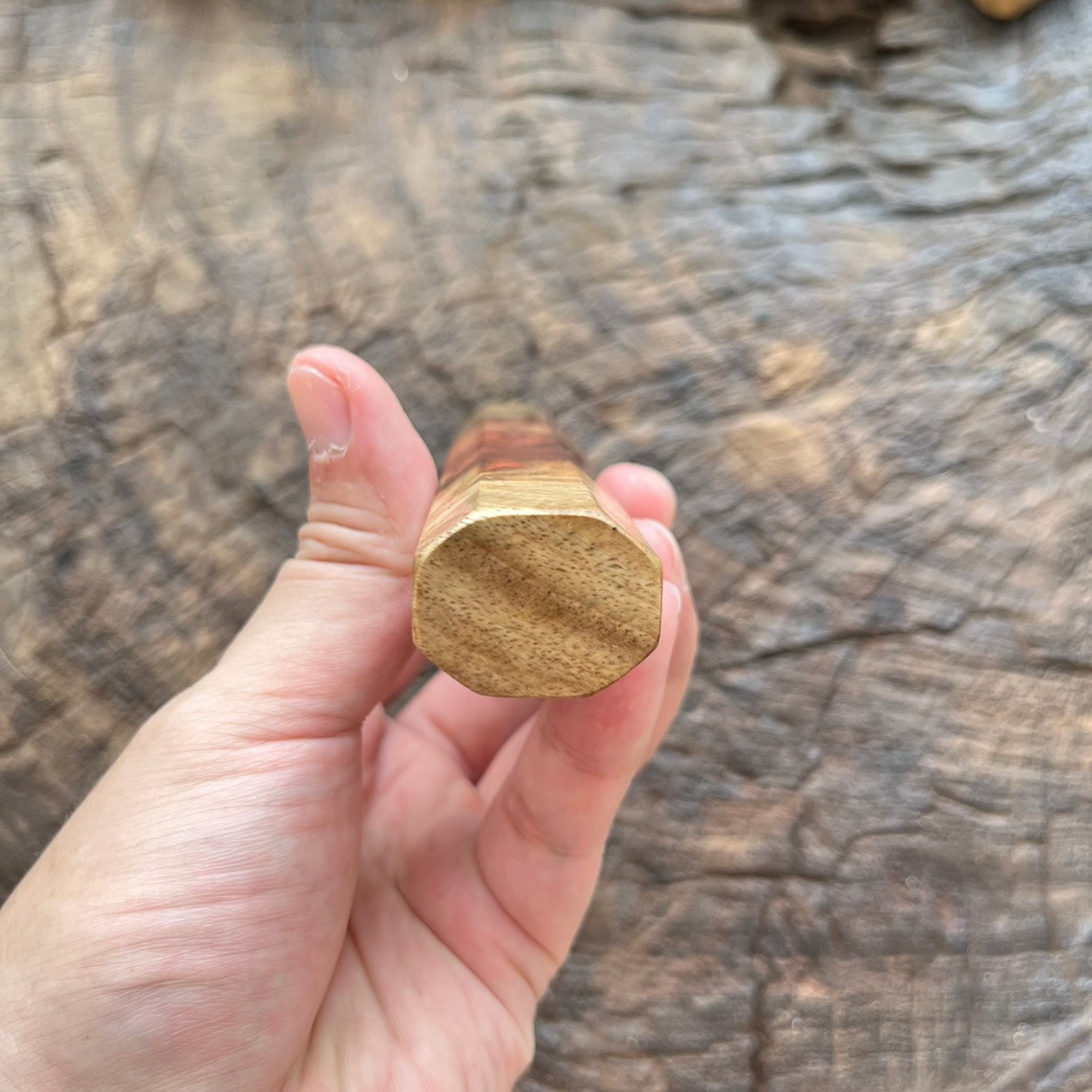 I- 3 Two tone Amboyna Burl Wa handle with marble horn 145mm