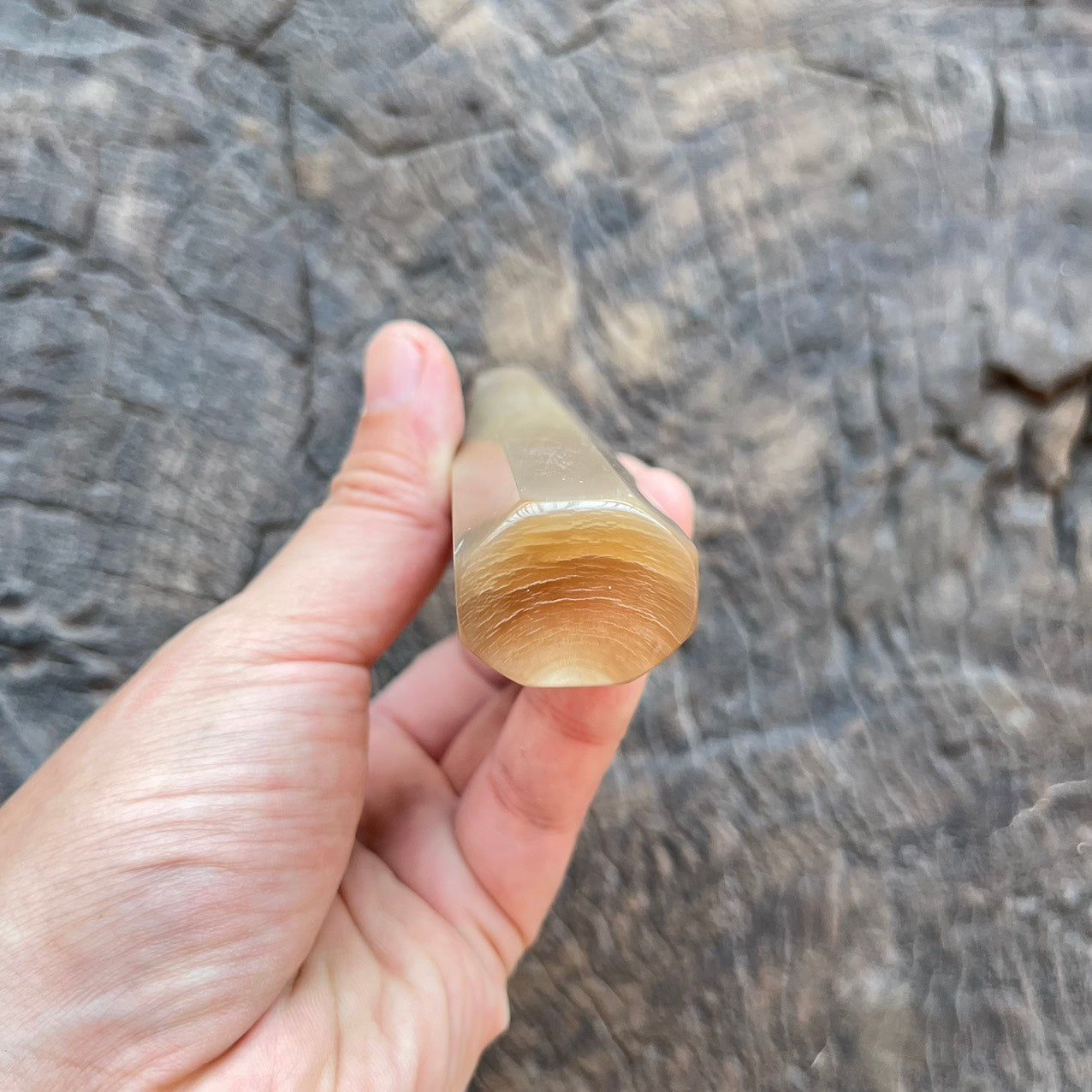 I- 10 big marble horn Wa handle -145mm