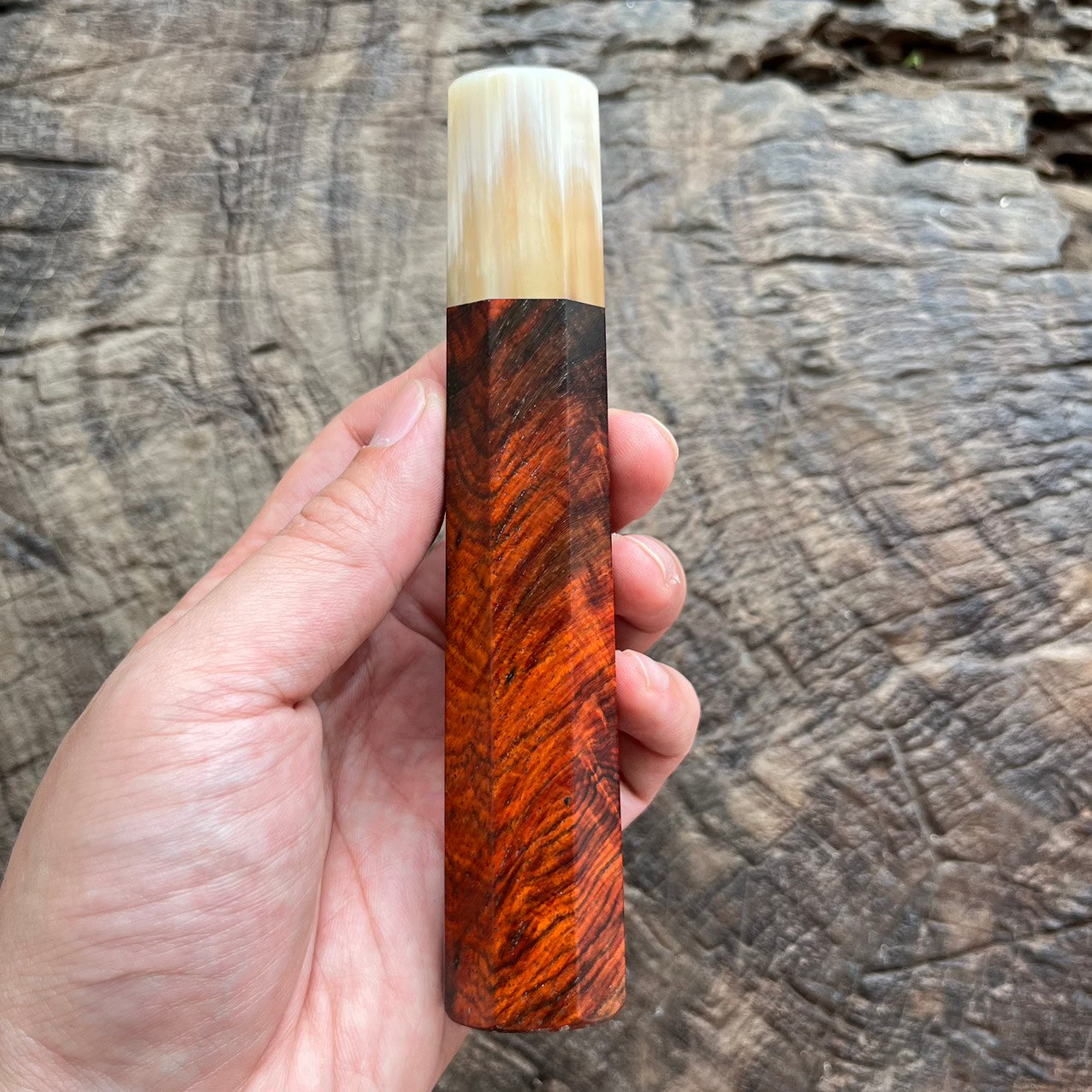 I- Rare Red Quilted Siam Rosewood Wa handle with Ivory horn ferrule -145mm