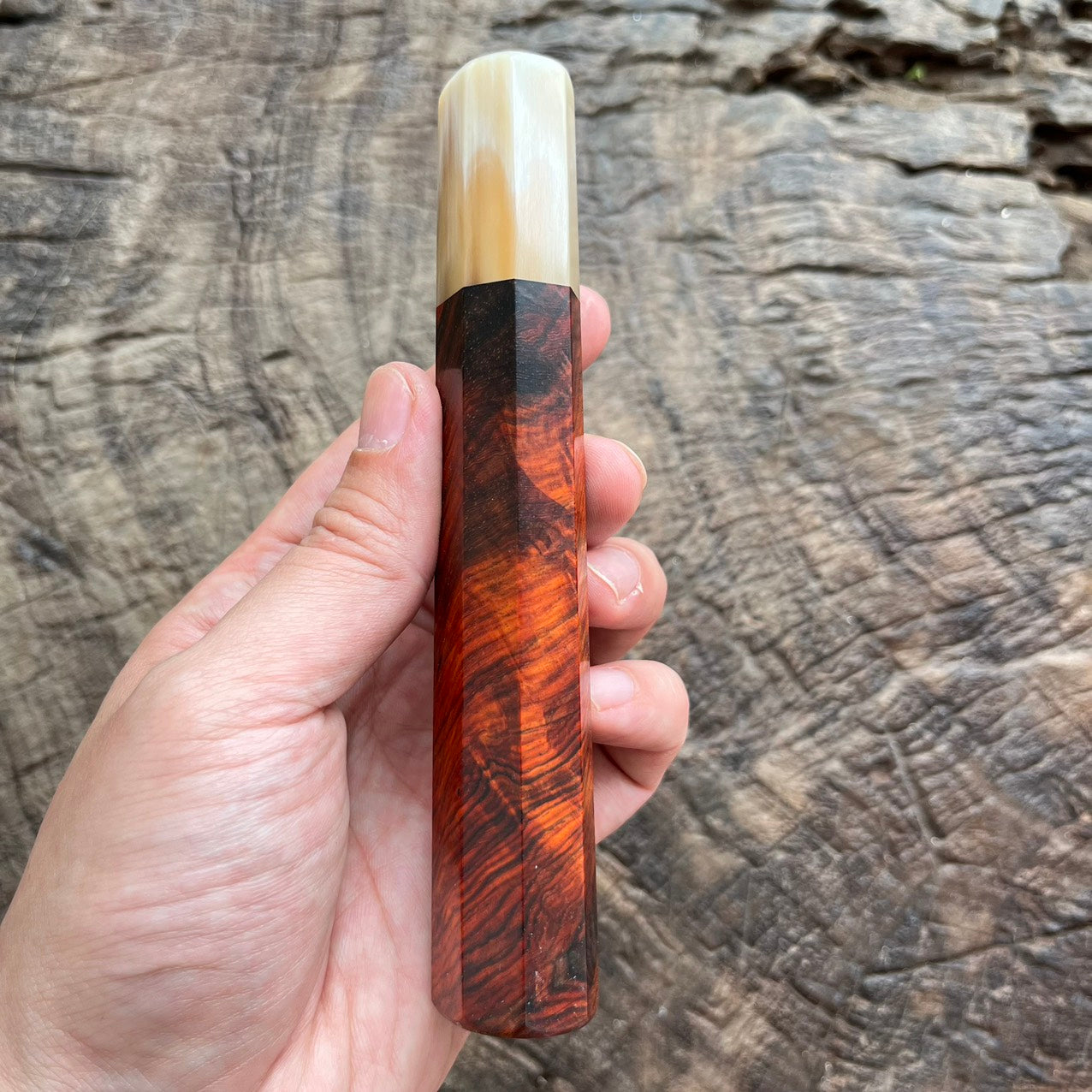 I- Rare Red Quilted Siam Rosewood Wa handle with Ivory horn ferrule -145mm