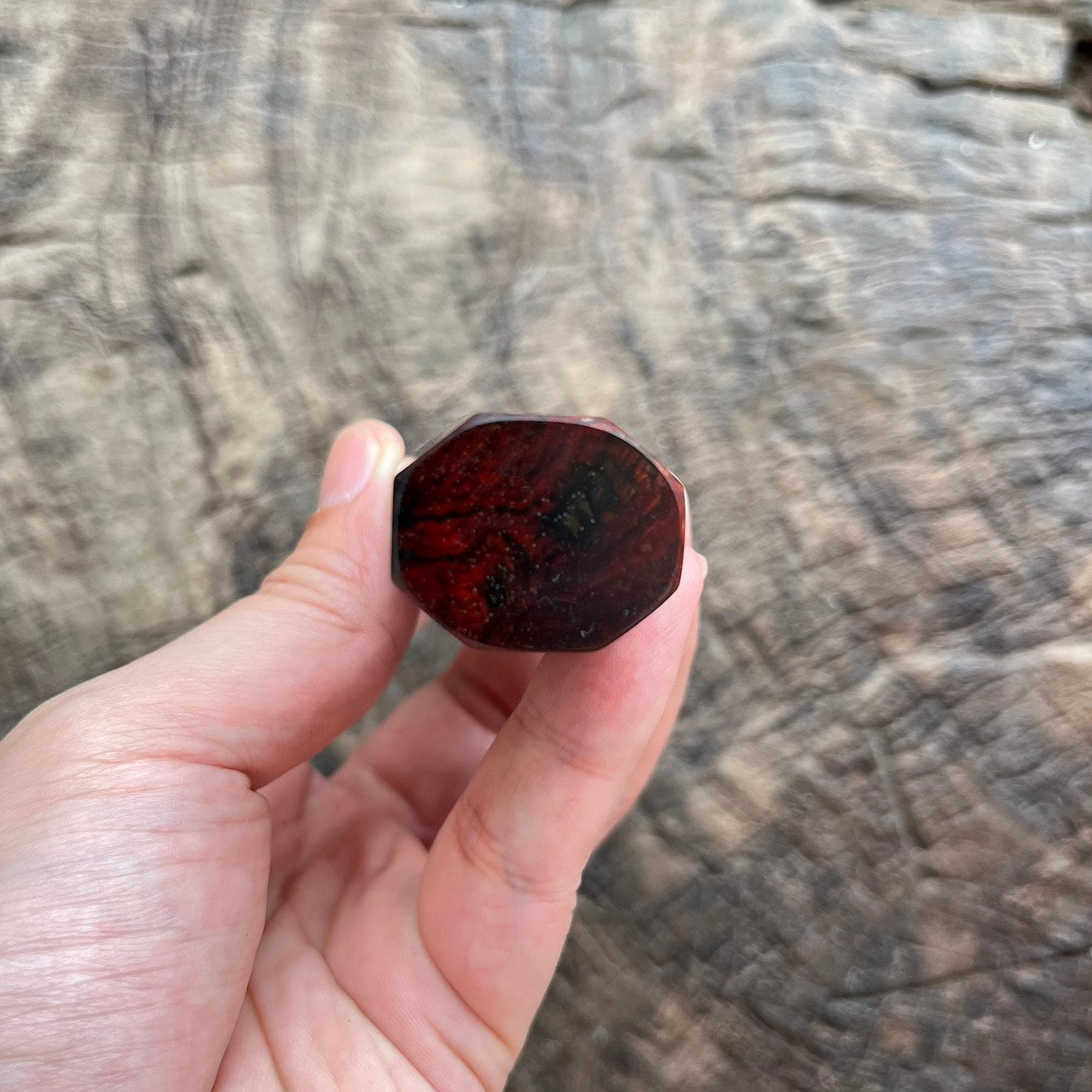 I- Rare Red Quilted Siam Rosewood Wa handle with Ivory horn ferrule -145mm