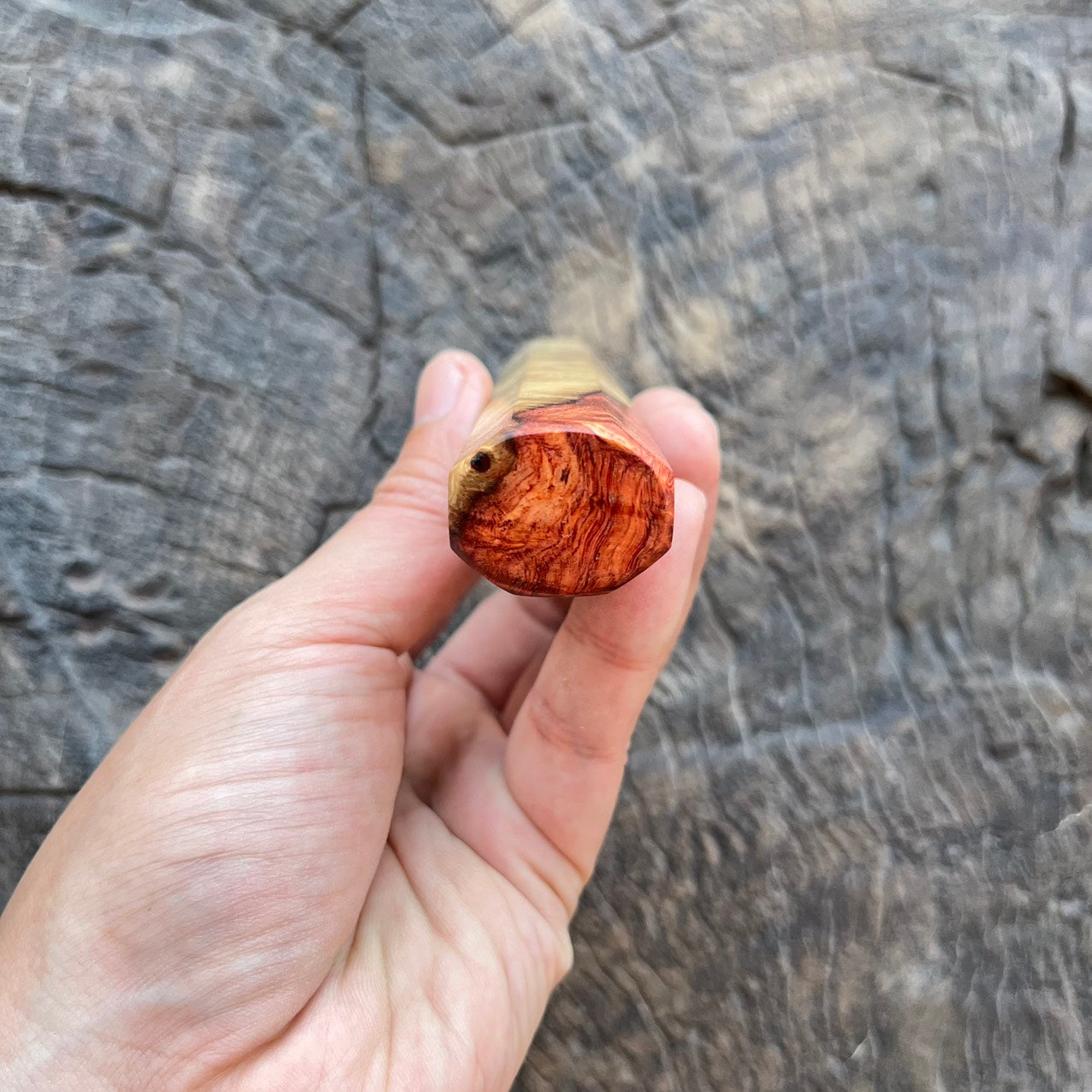 I- 4 Two tone amboyna burl with marble horn ferrule - 140mm