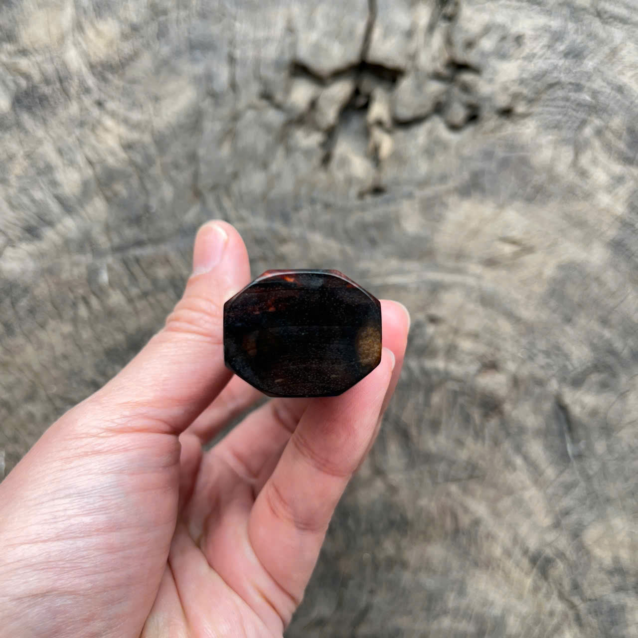 I -Siam Rosewood wa handle, white horn ferrule - 145mm