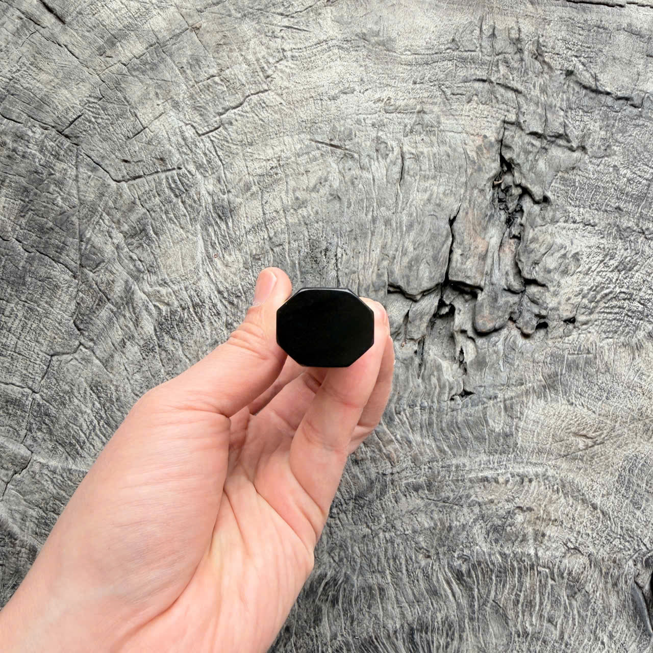 I- 11 Ebony Wa handle, white horn Ferrule, 135mm handle