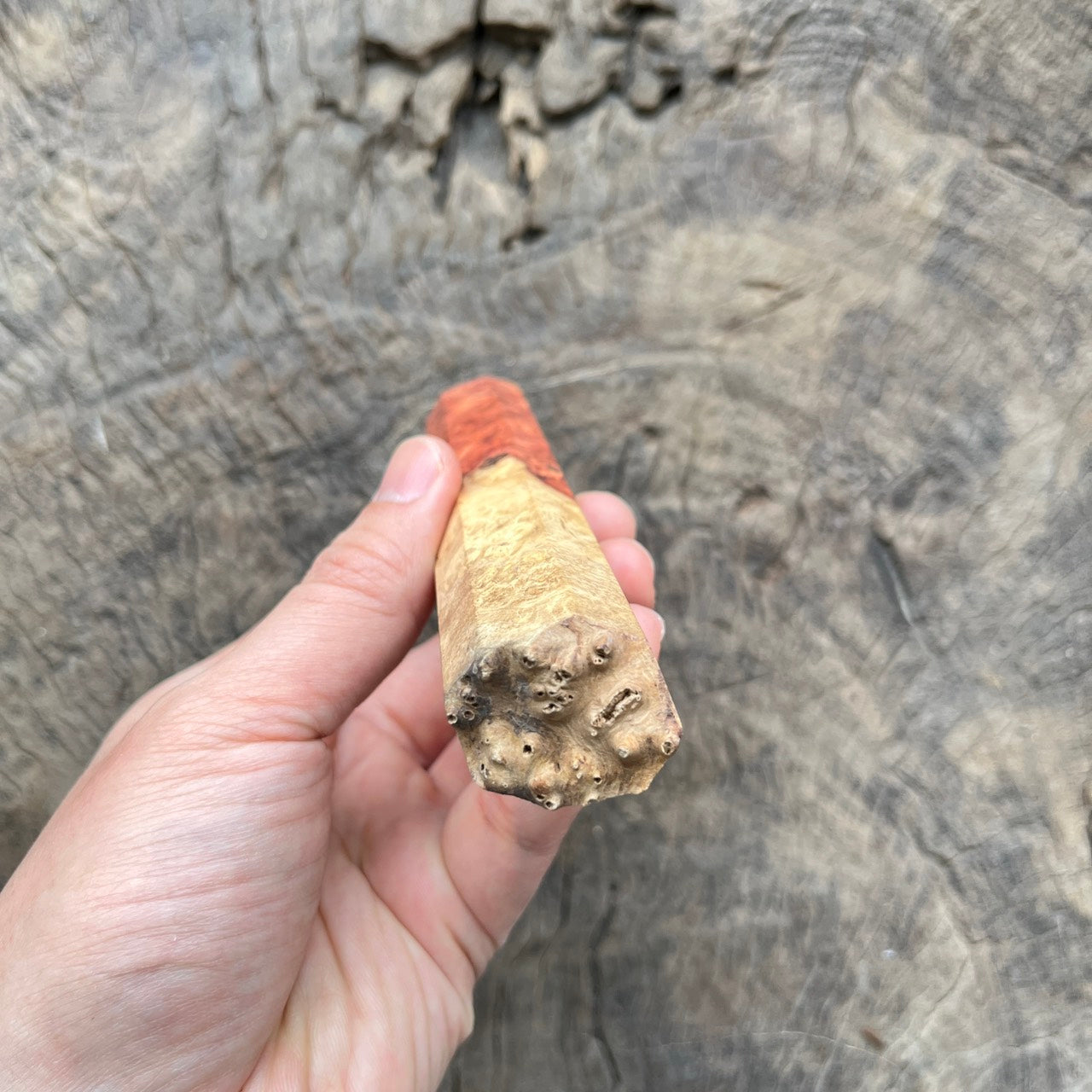 I - Live Edge Amboyna Burl wa handle, Mono- 140mm